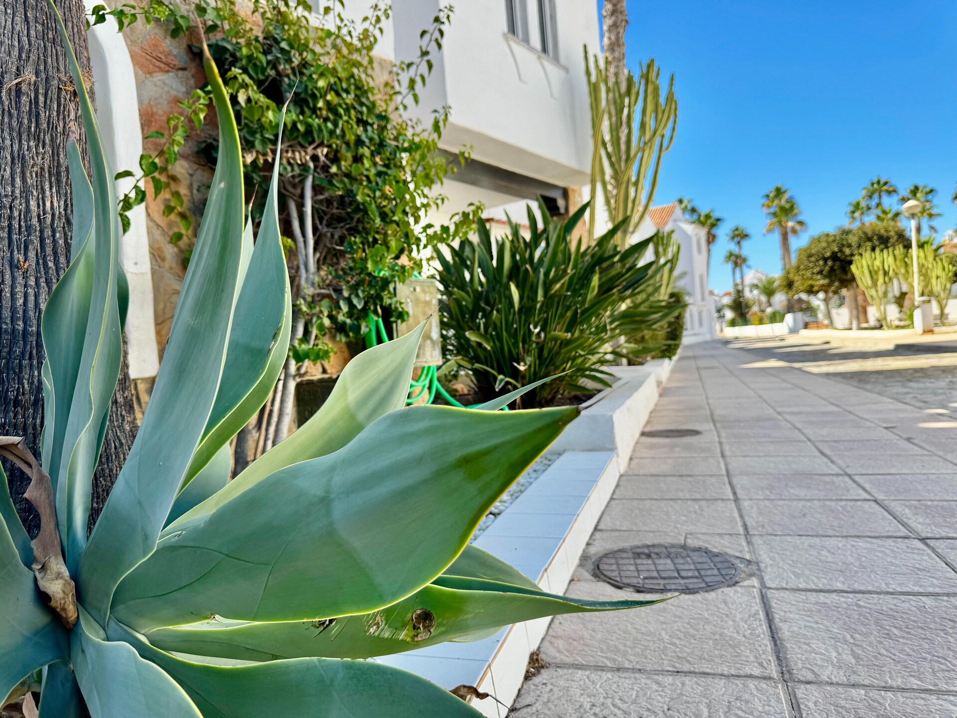 Stijlvol appartement aan golfbaan, 470m van Playa Serena - foto 40