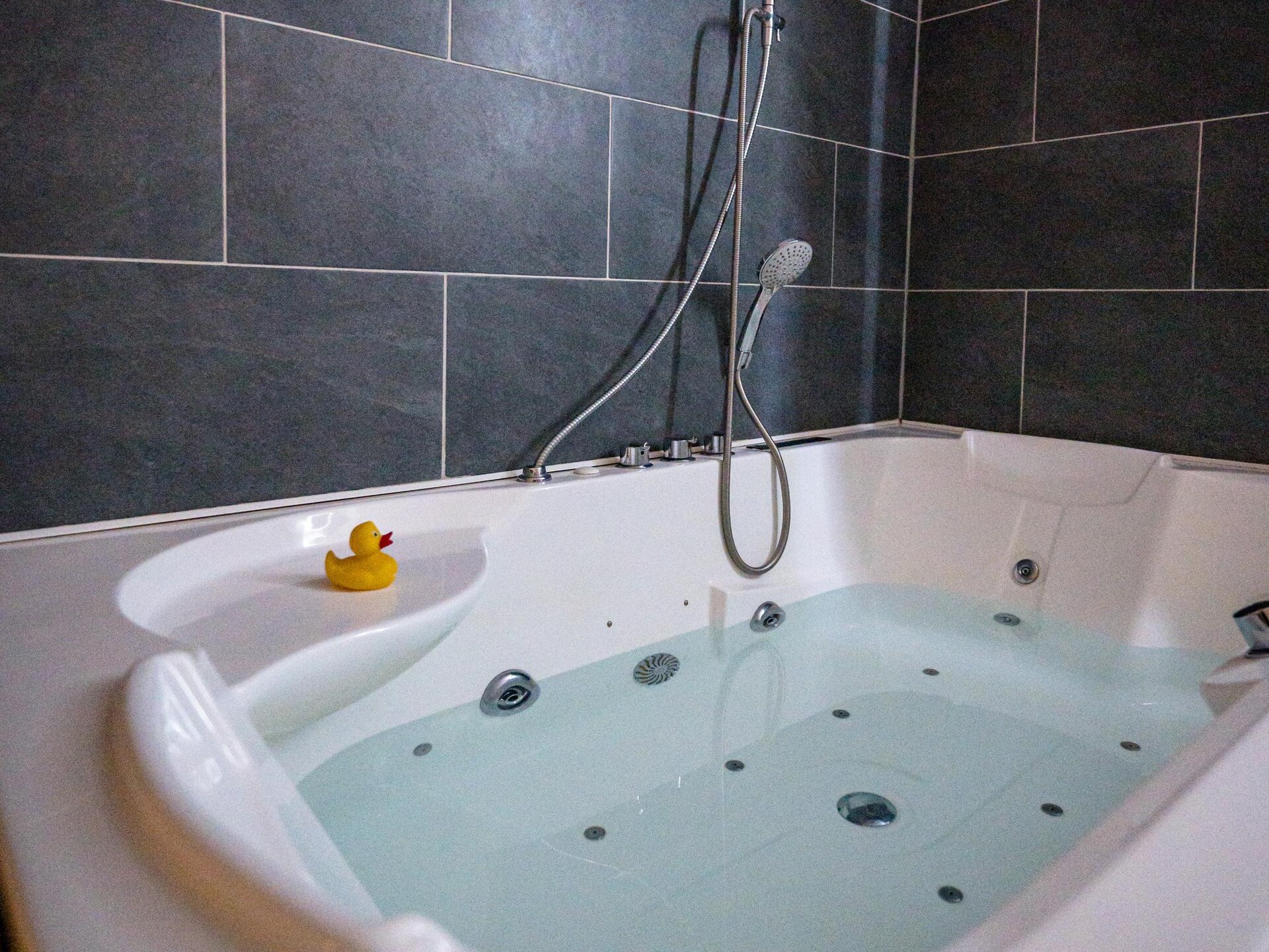Luxe appartement in Froidchapelle met bubbelbad en vallei-uitzicht - foto 29