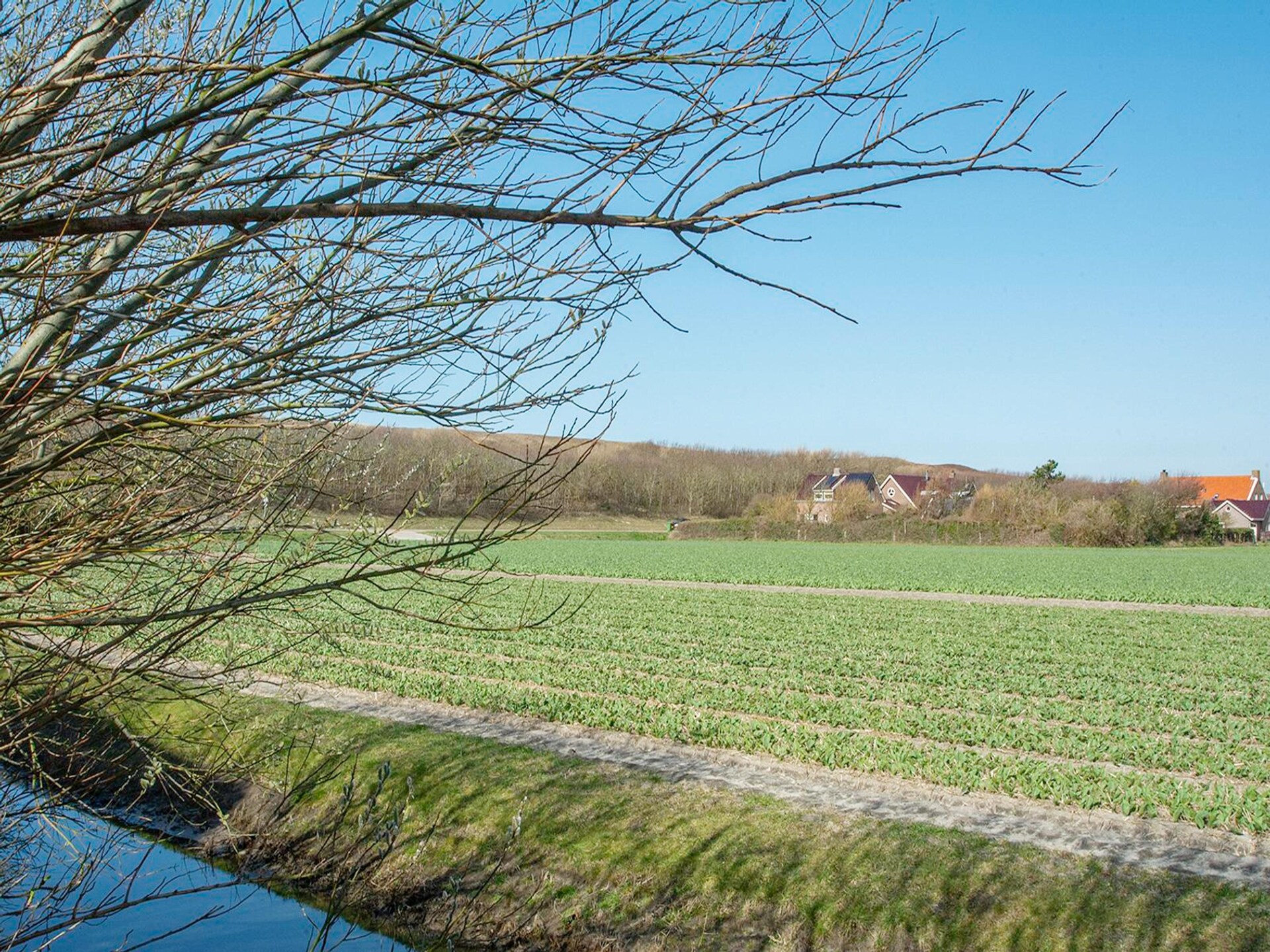 Gelijkvloers appartement met overdekt terras op 350m van het strand - foto 19