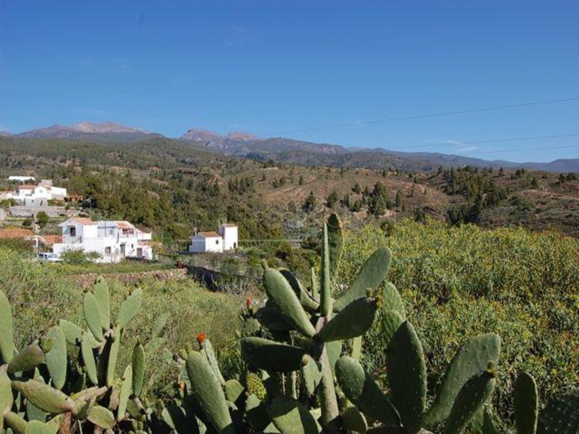 Vrijstaand vakantiehuis met WLAN bij Granadilla de Abona, 10km van strand - foto 18