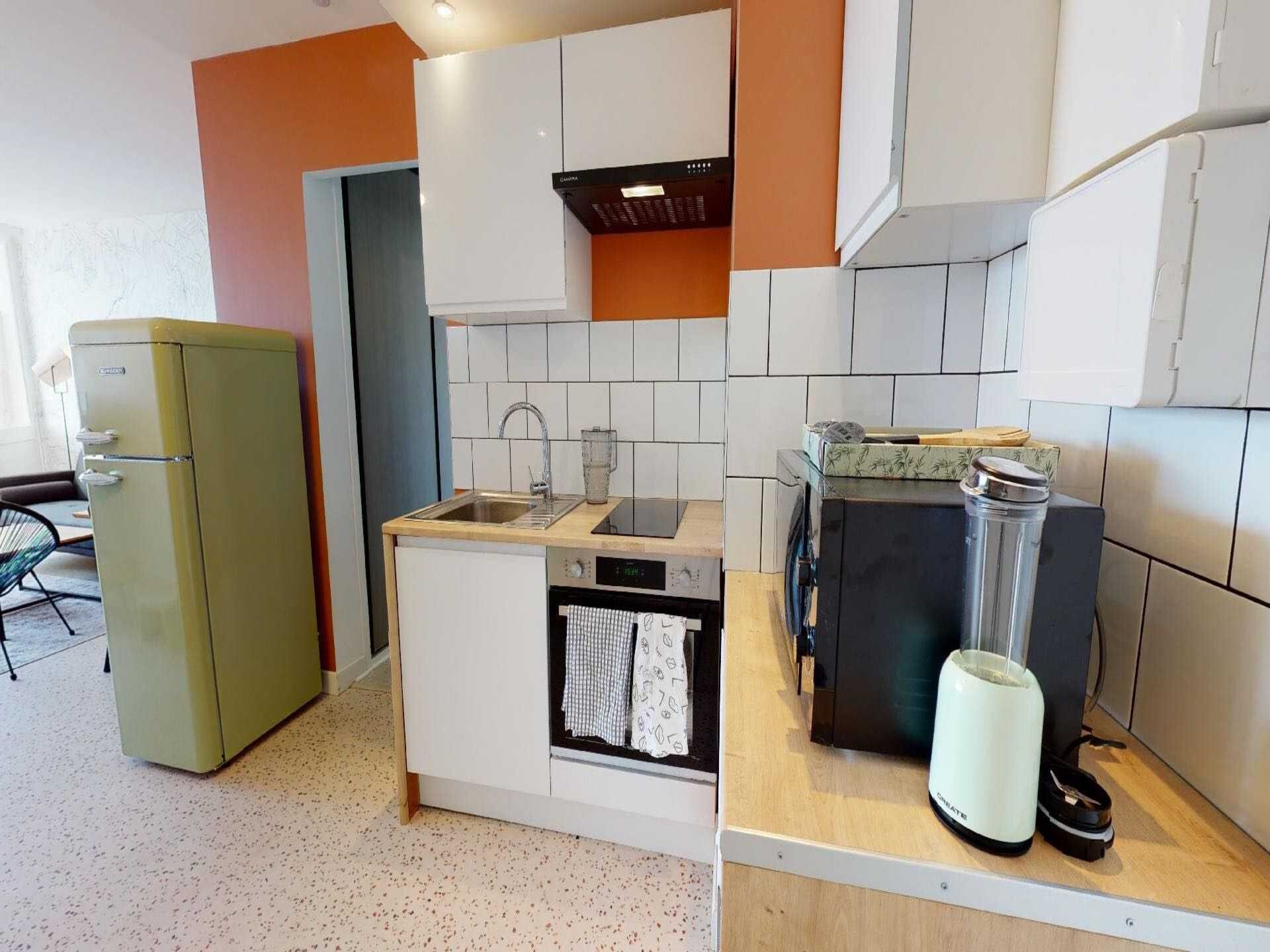 Ruim appartement in Villeurbanne nabij Lyon · 1 pers. - foto 25