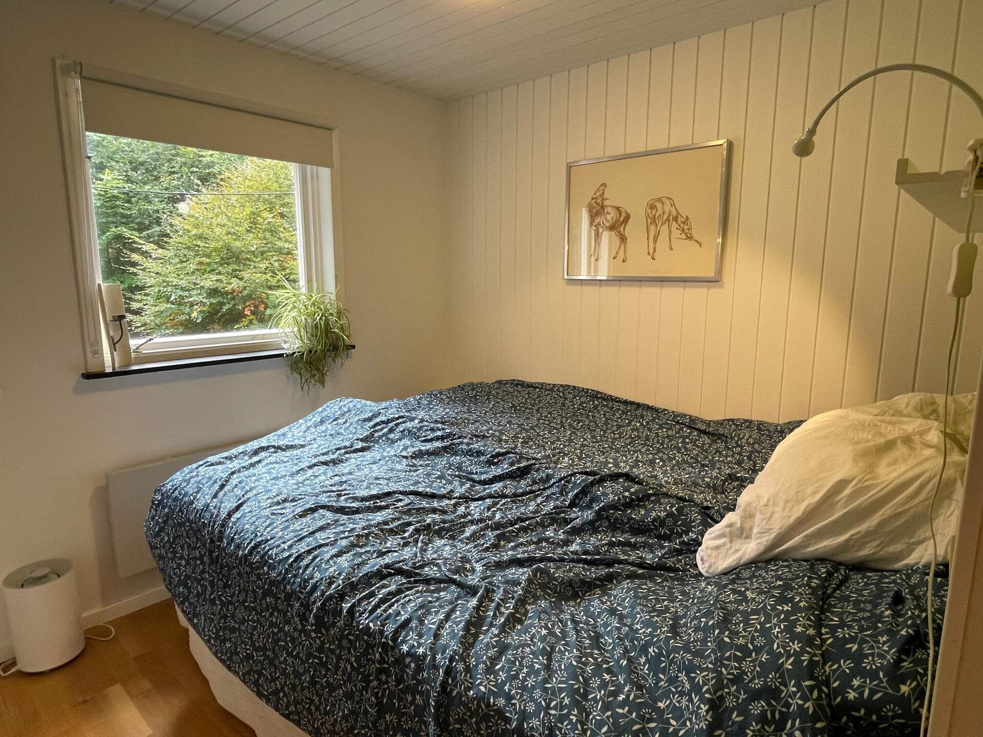 Vrijstaand vakantiehuis aan meer in Sösdala voor 9 personen - foto 27