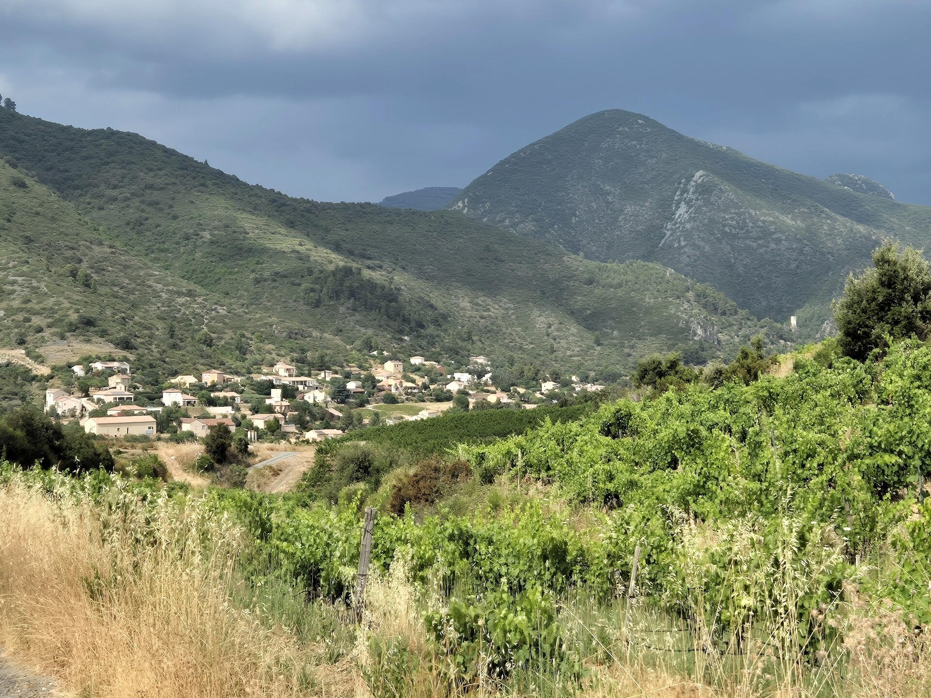La Garrigue: Vrijstaand vakantiehuis met zwembad in de Hérault - foto 21
