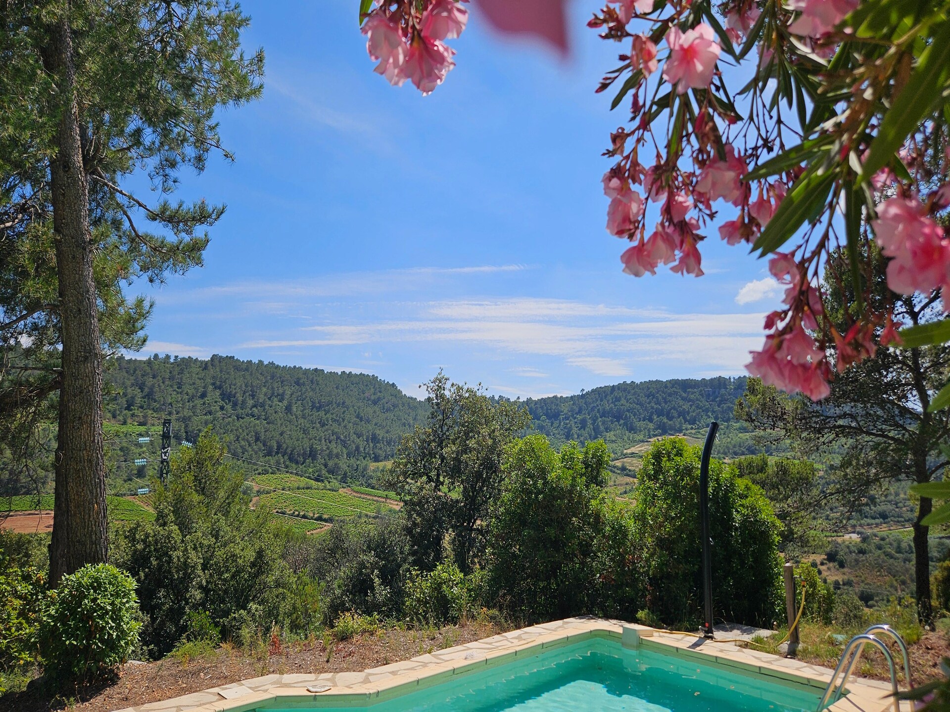 La Garrigue: Vrijstaand vakantiehuis met zwembad in de Hérault - foto 15