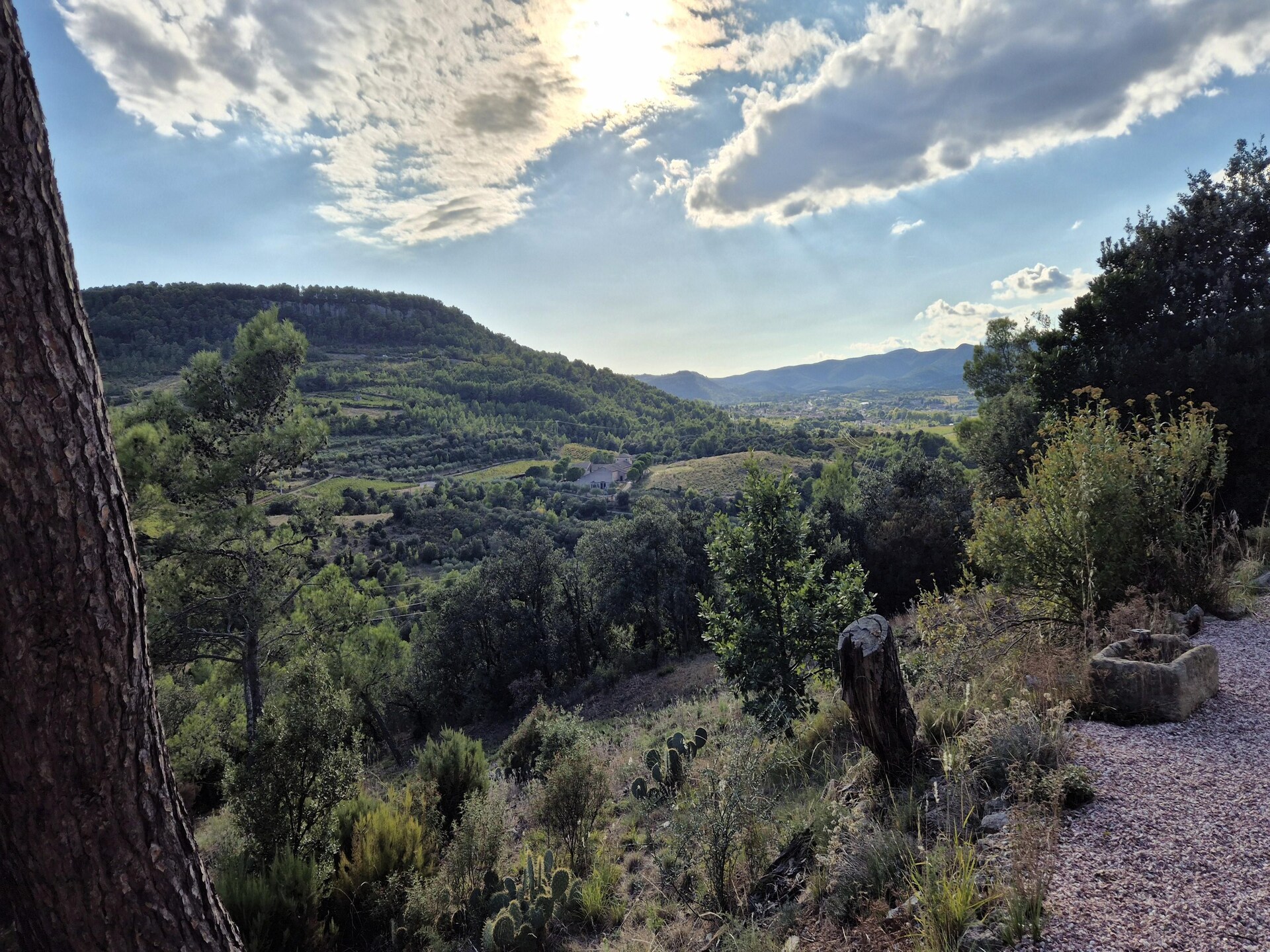 La Garrigue: Vrijstaand vakantiehuis met zwembad in de Hérault - foto 30