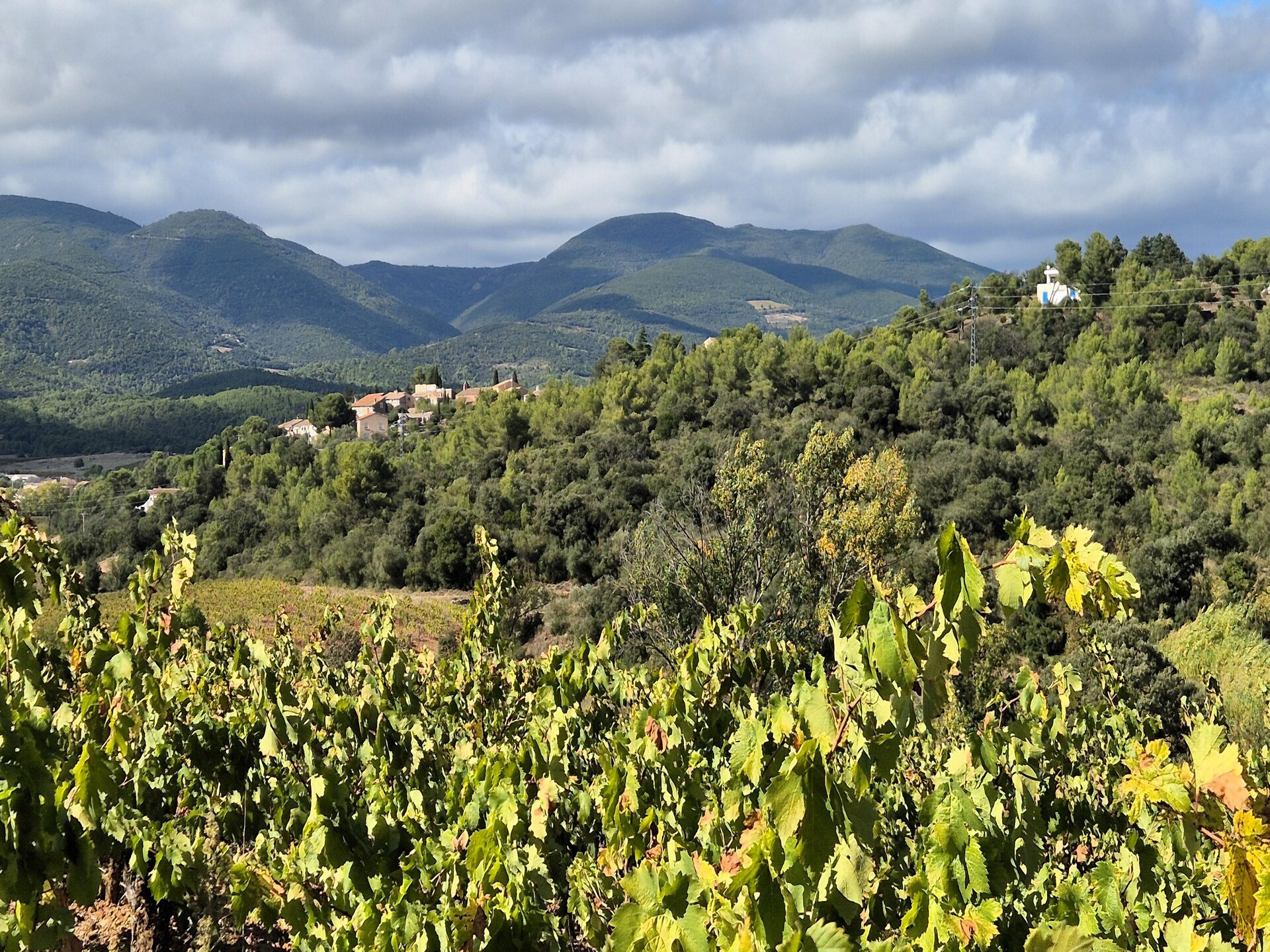 La Garrigue: Vrijstaand vakantiehuis met zwembad in de Hérault - foto 24