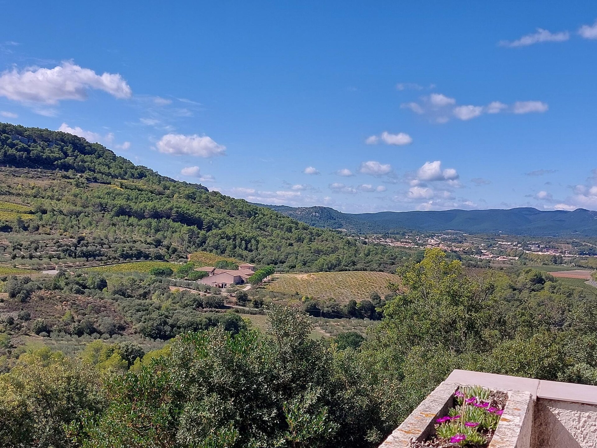 La Garrigue: Vrijstaand vakantiehuis met zwembad in de Hérault - foto 32