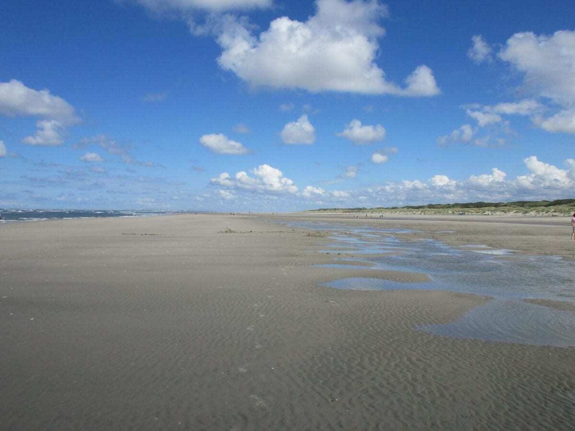 Licht appartement aan de Waddenzee met vuurtorenzicht in Juist - foto 15