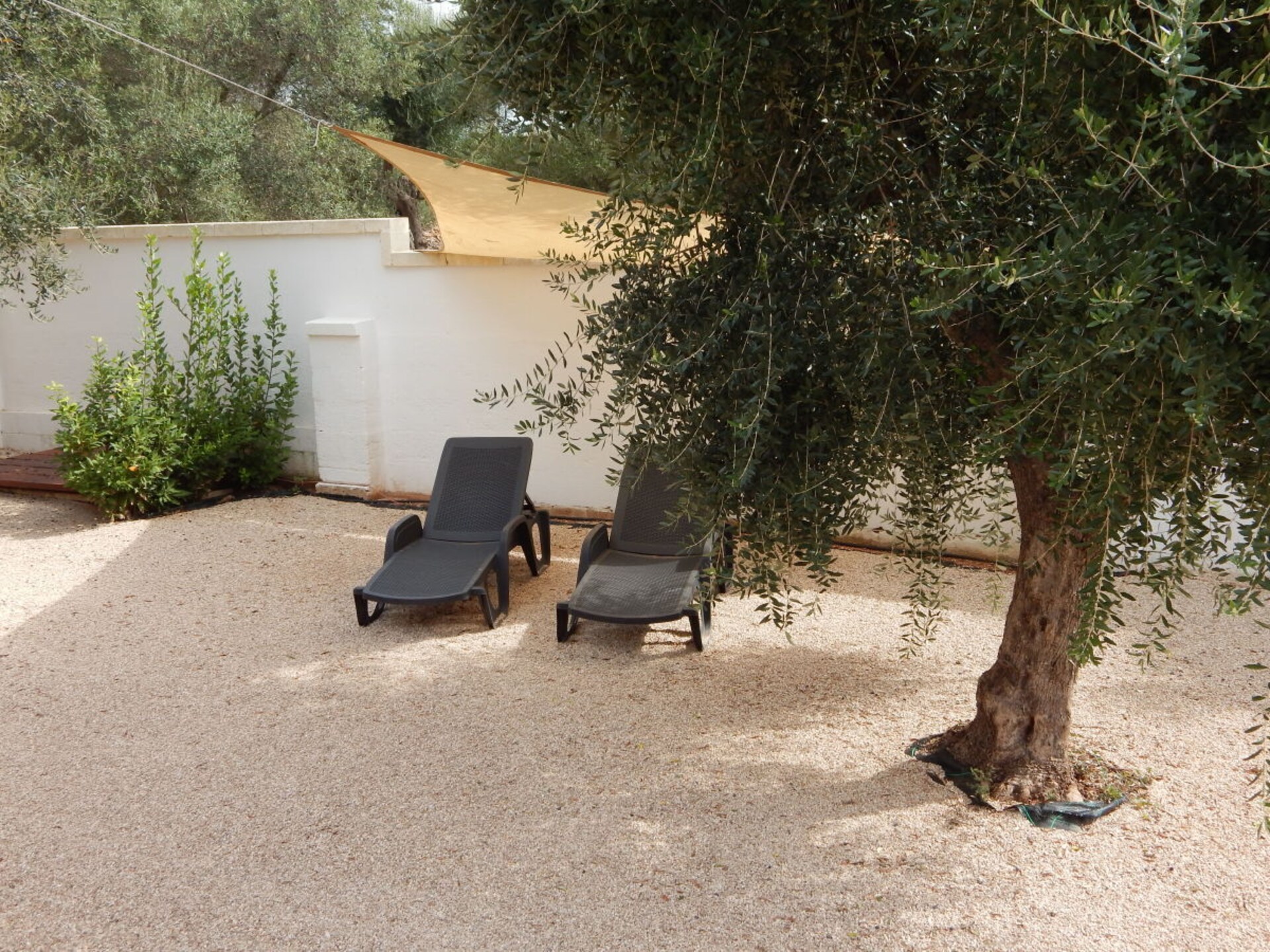 Sfeervolle trullo met zwembad en olijfgaard bij Manduria - foto 5