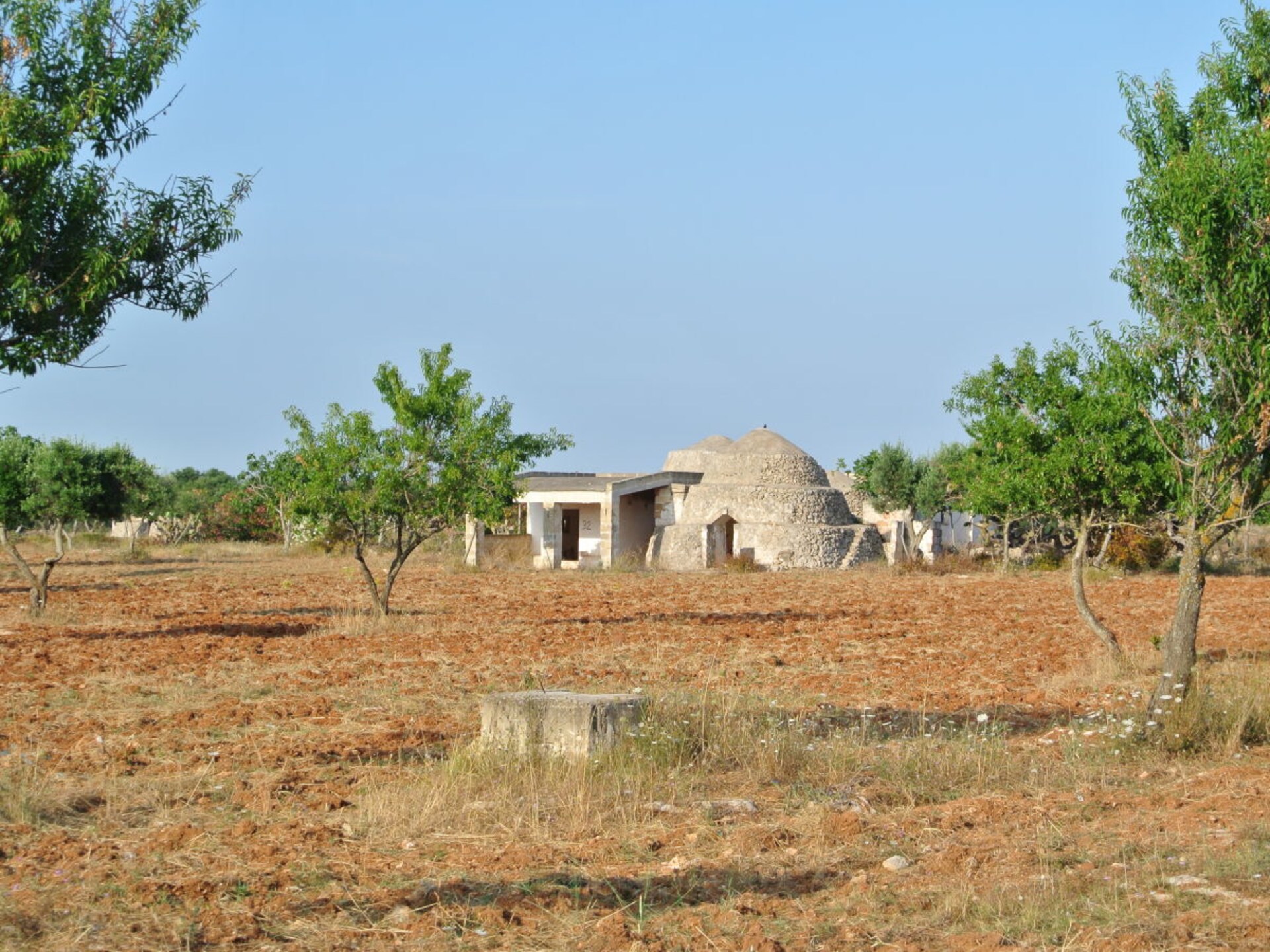 Sfeervolle trullo met zwembad en olijfgaard bij Manduria - foto 24
