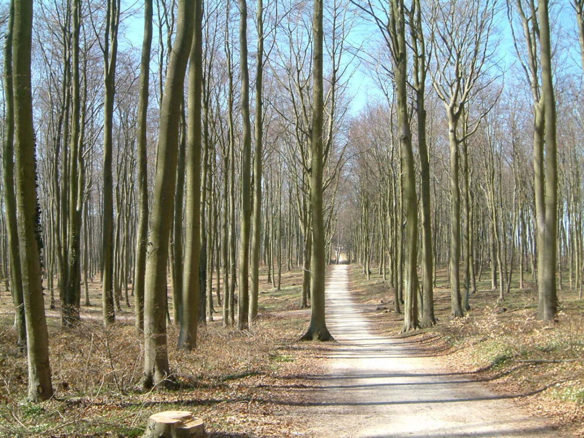 Luxe vakantiehuis in Zempin op Usedom, 300m van het centrum - foto 15