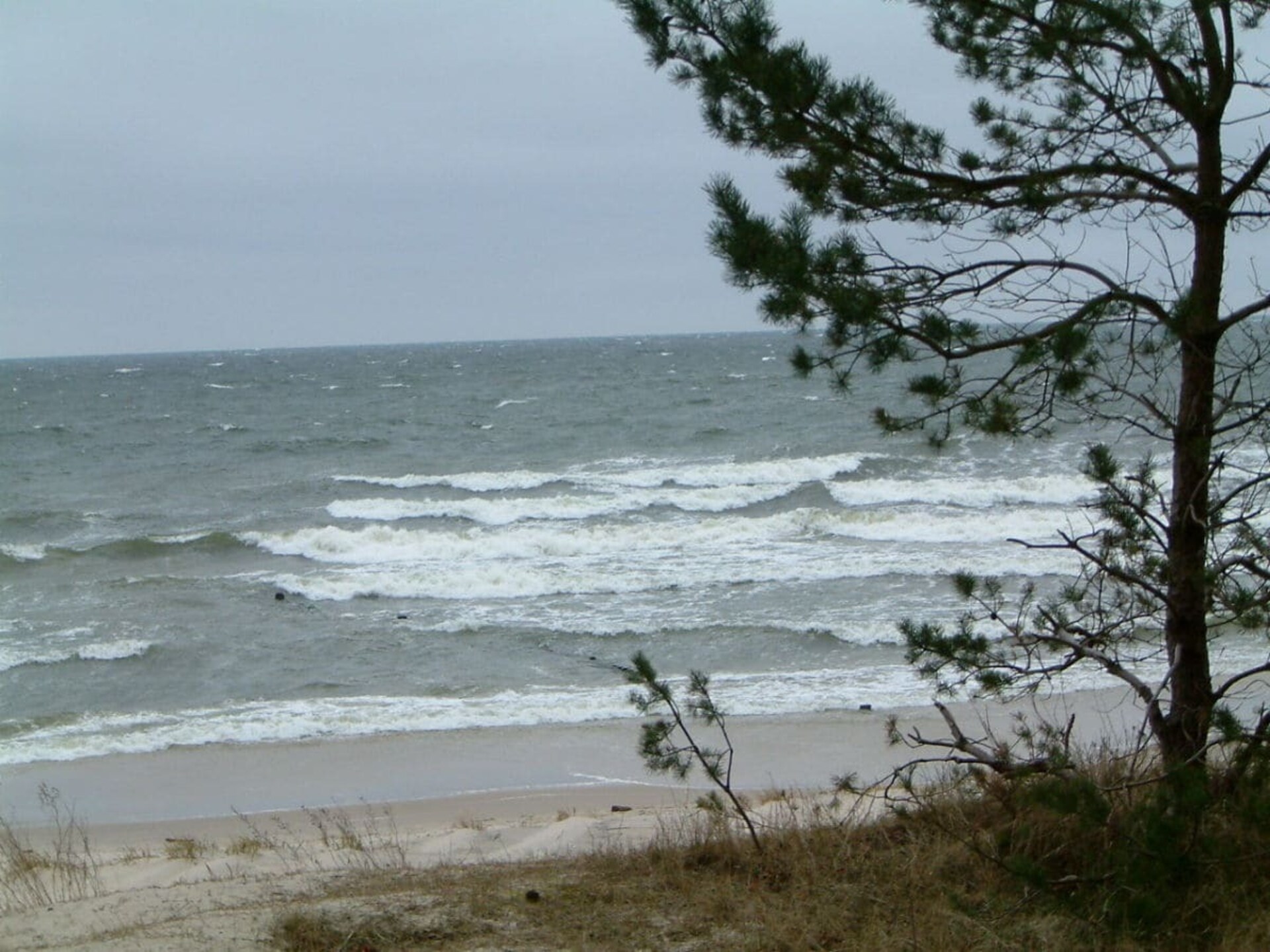Luxe vakantiehuis in Zempin op Usedom, 300m van het centrum - foto 22