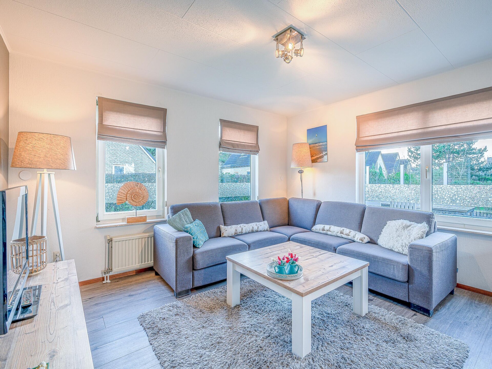 Luxe 6-persoons villa op 5-sterrenpark Villapark Kamperfoelie, nabij strand De Koog - foto 3