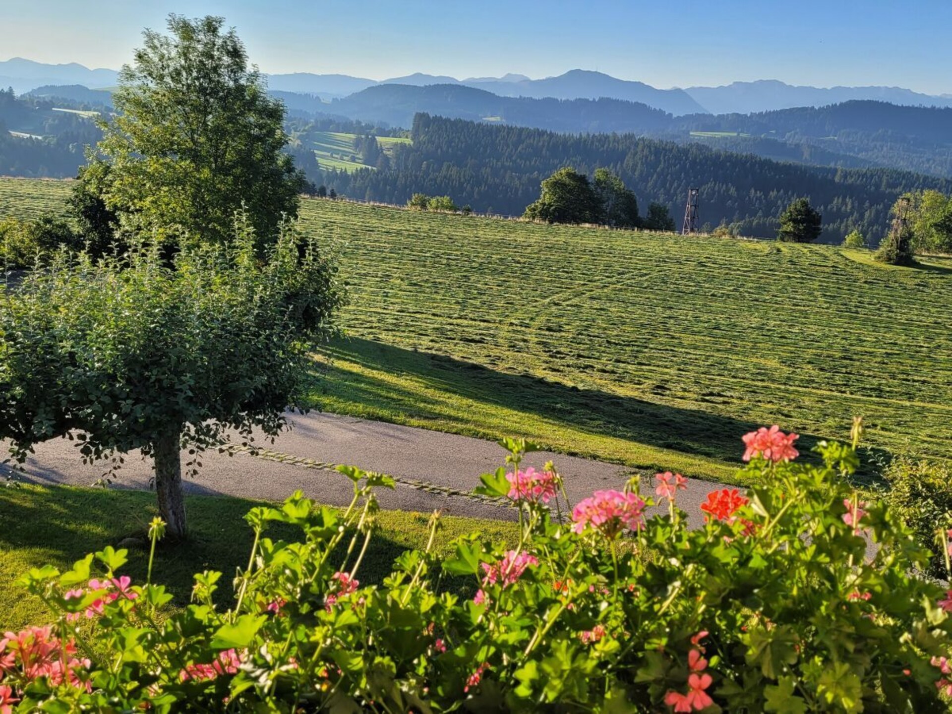 Authentiek Alpenverblijf voor 12 personen met sauna en uitzicht op de Allgäu - foto 2