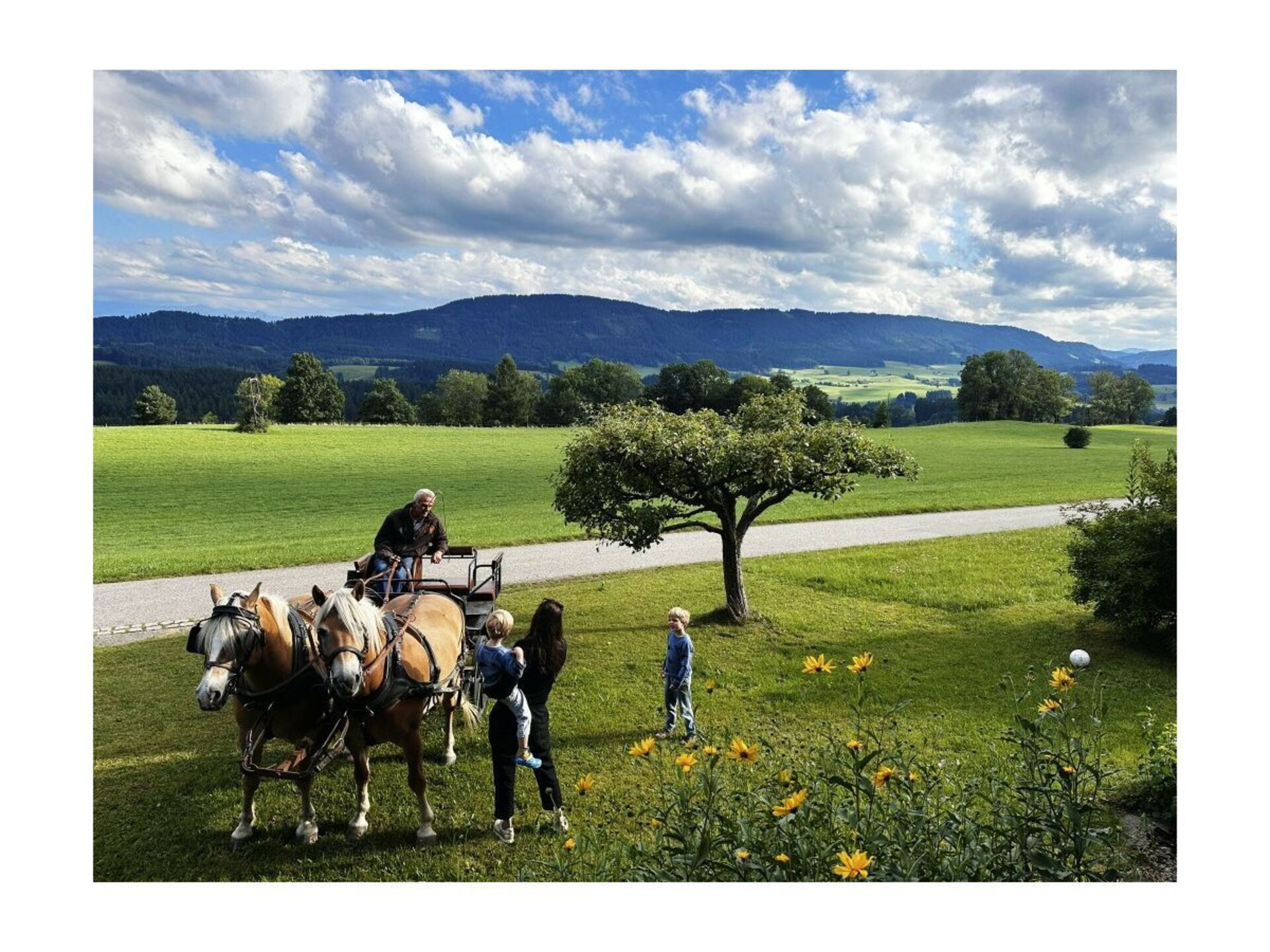 Authentiek Alpenverblijf voor 12 personen met sauna en uitzicht op de Allgäu - foto 5