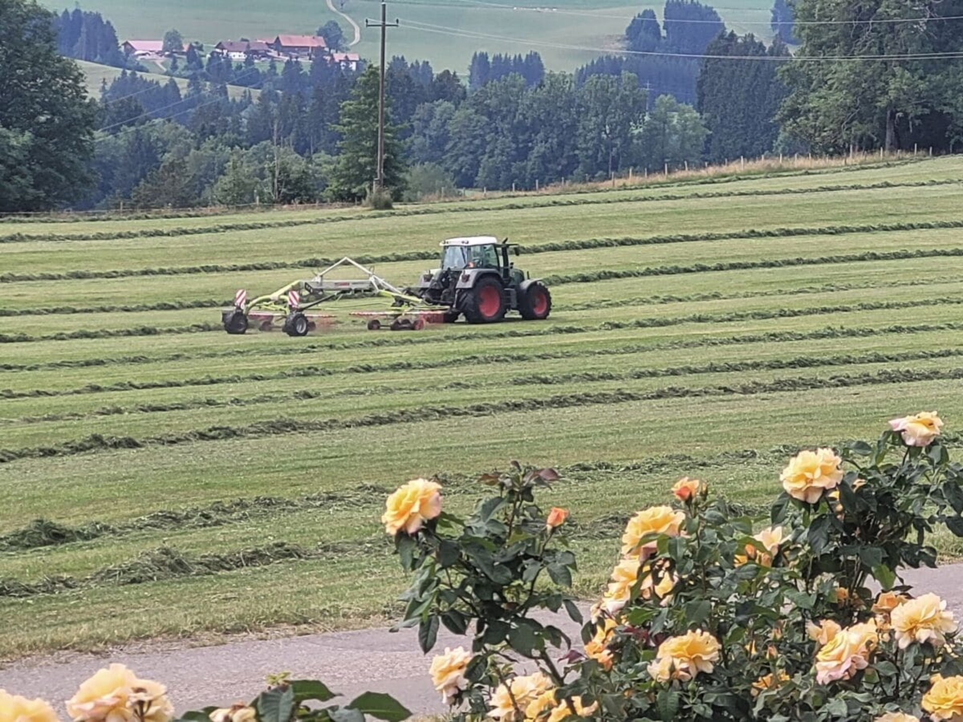 Authentiek Alpenverblijf voor 12 personen met sauna en uitzicht op de Allgäu - foto 8