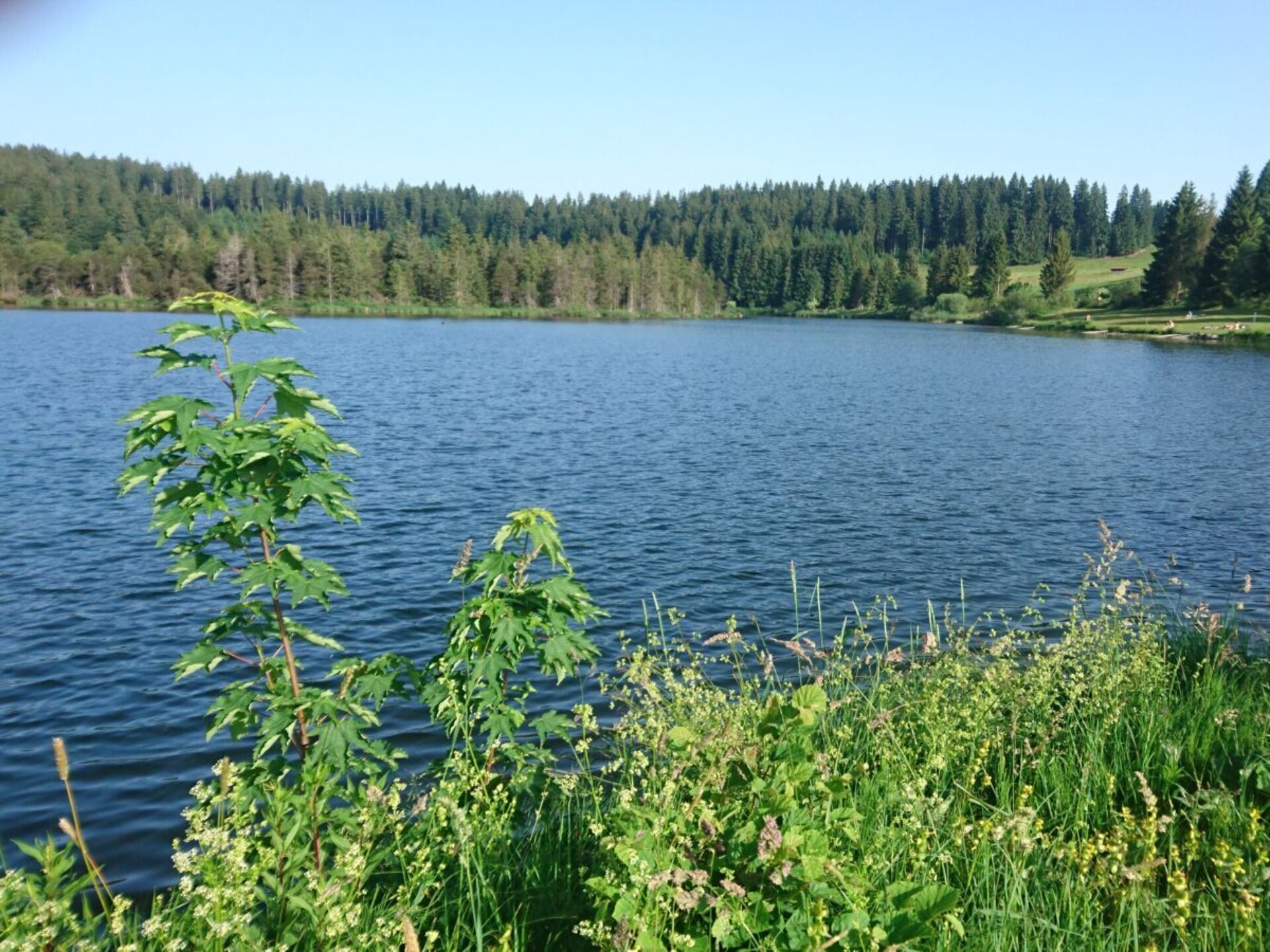 Authentiek Alpenverblijf voor 12 personen met sauna en uitzicht op de Allgäu - foto 33