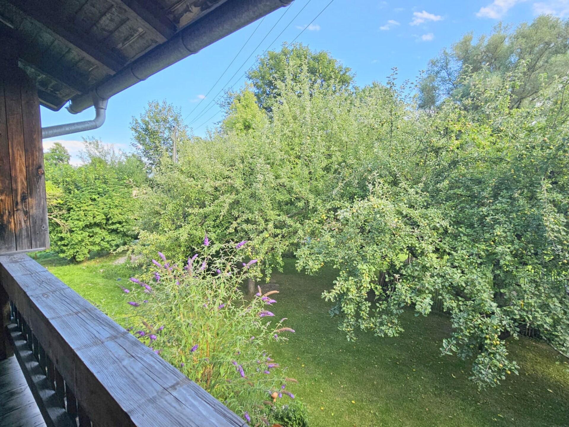 Sfeervol eco-appartement met zonnig balkon en uitzicht op weilanden - foto 2
