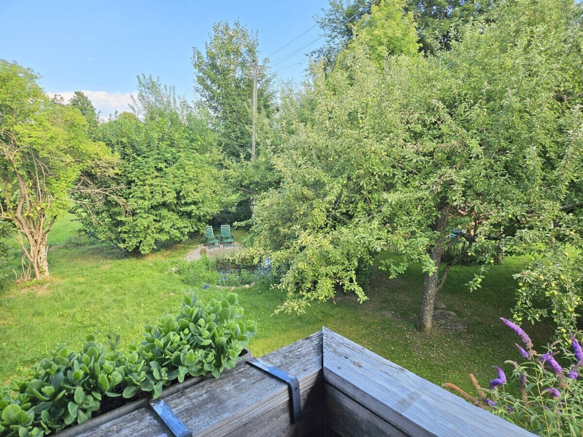 Sfeervol eco-appartement met zonnig balkon en uitzicht op weilanden - foto 5
