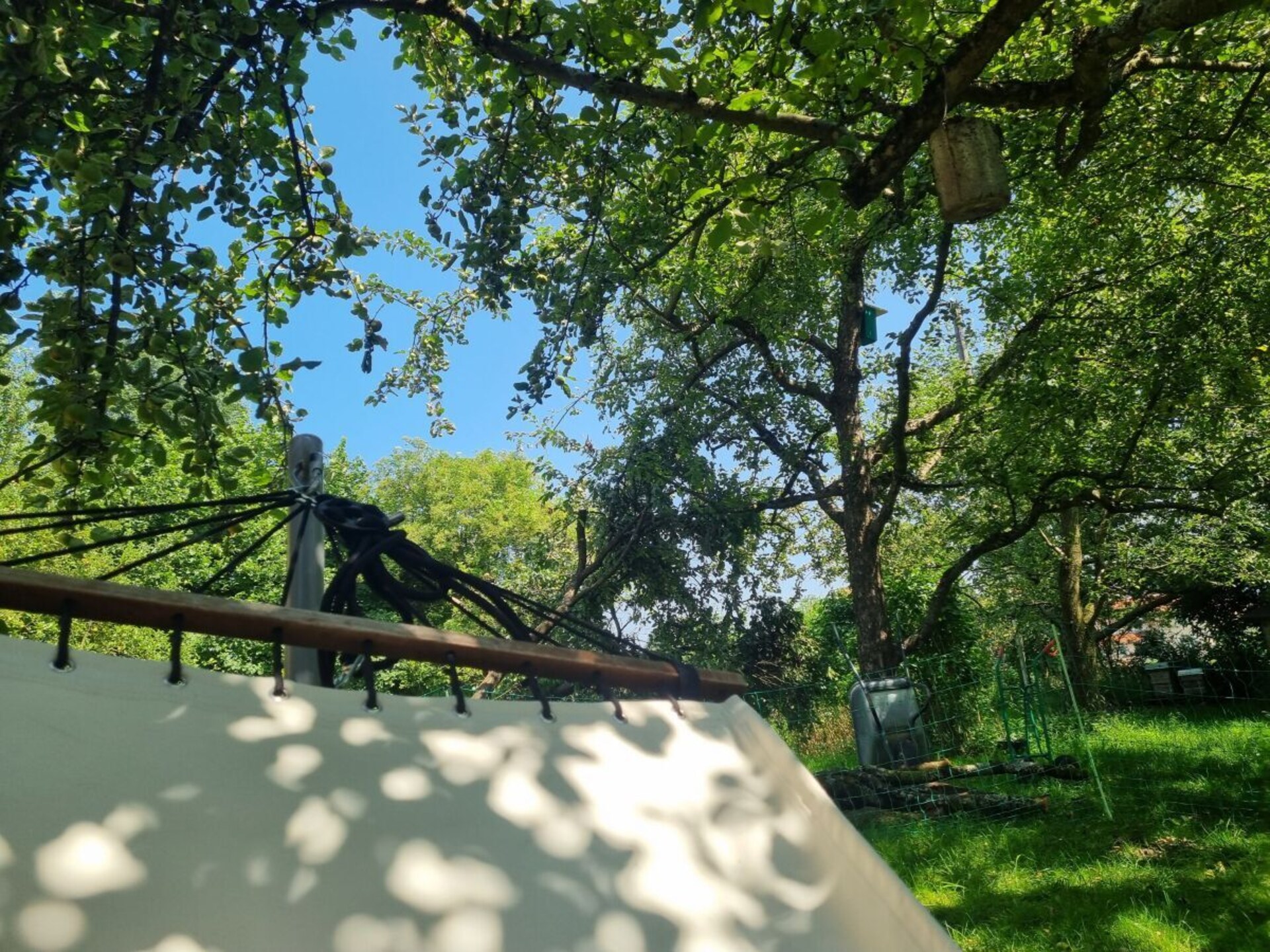 Sfeervol eco-appartement met zonnig balkon en uitzicht op weilanden - foto 6