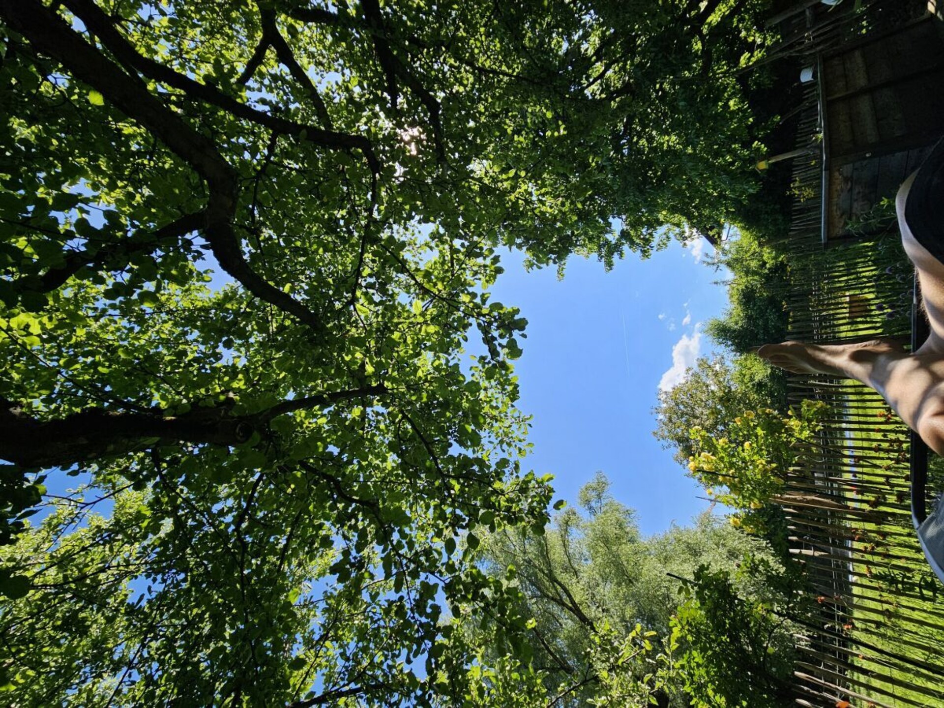 Sfeervol eco-appartement met zonnig balkon en uitzicht op weilanden - foto 9