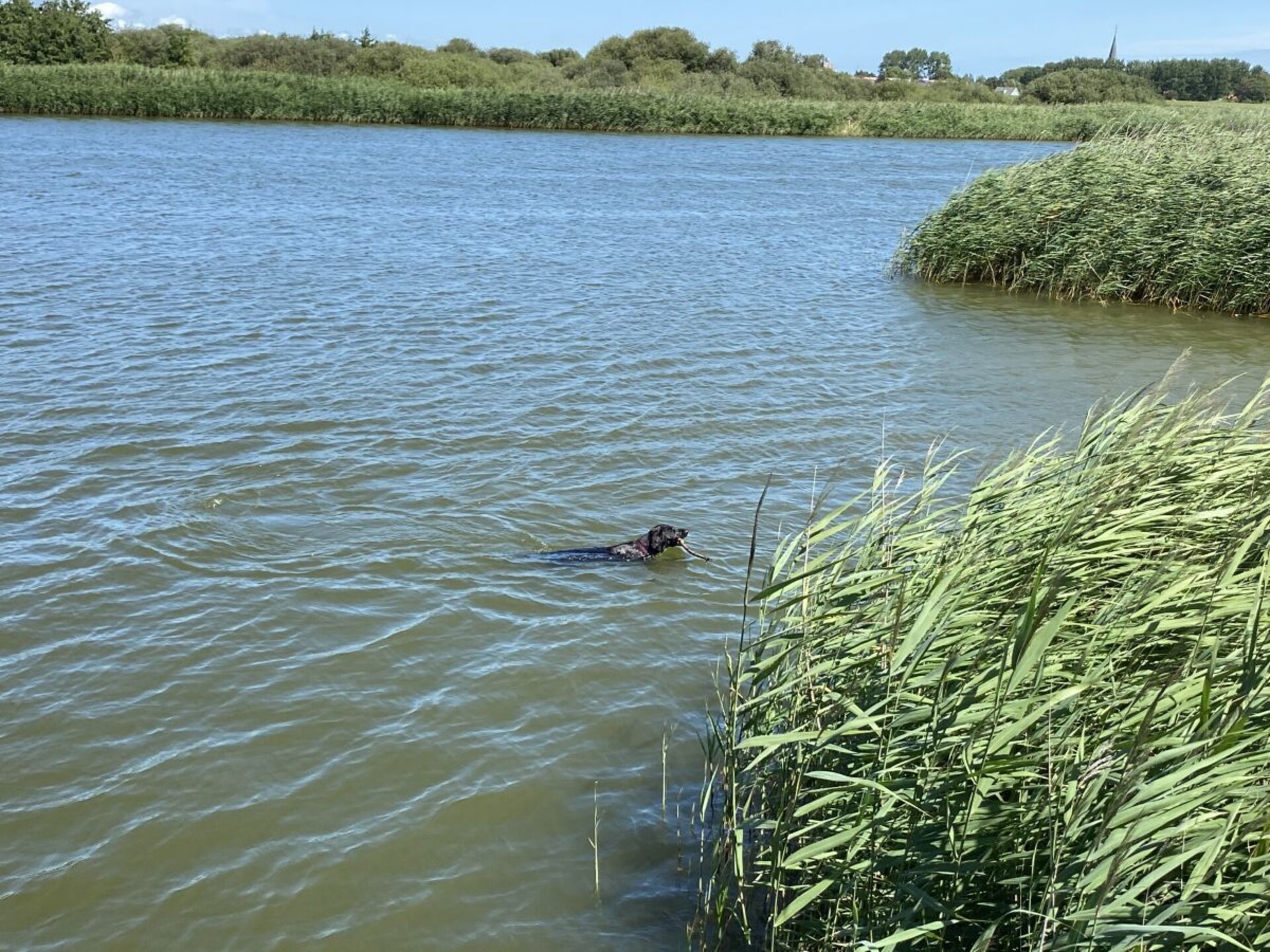 Wasserperle: Luxe vakantiehuis aan het water in Makkum met sauna en aanlegsteiger - foto 28