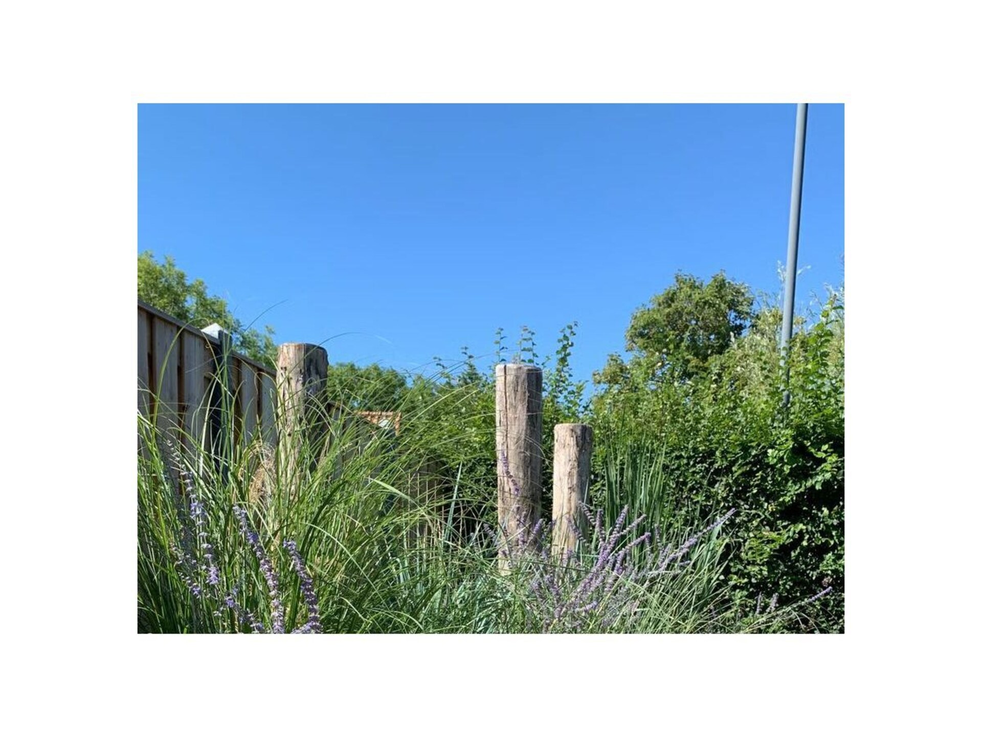 Luxe bungalow met zonnige tuin nabij strand Zoutelande, Zeeland - foto 9
