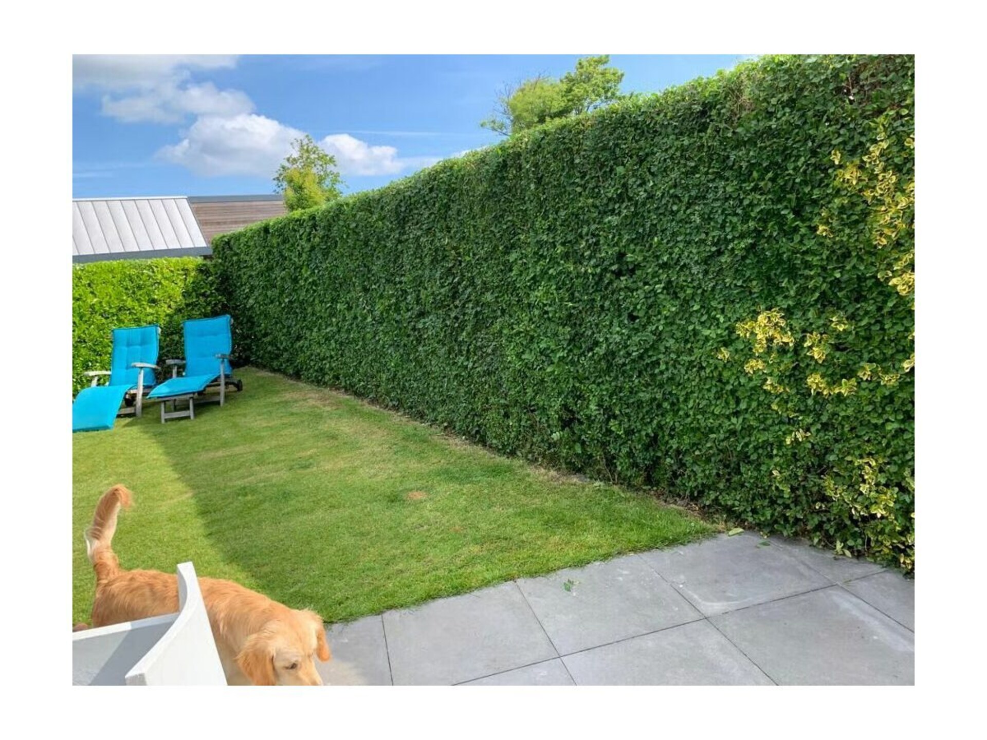 Luxe bungalow met zonnige tuin nabij strand Zoutelande, Zeeland - foto 15