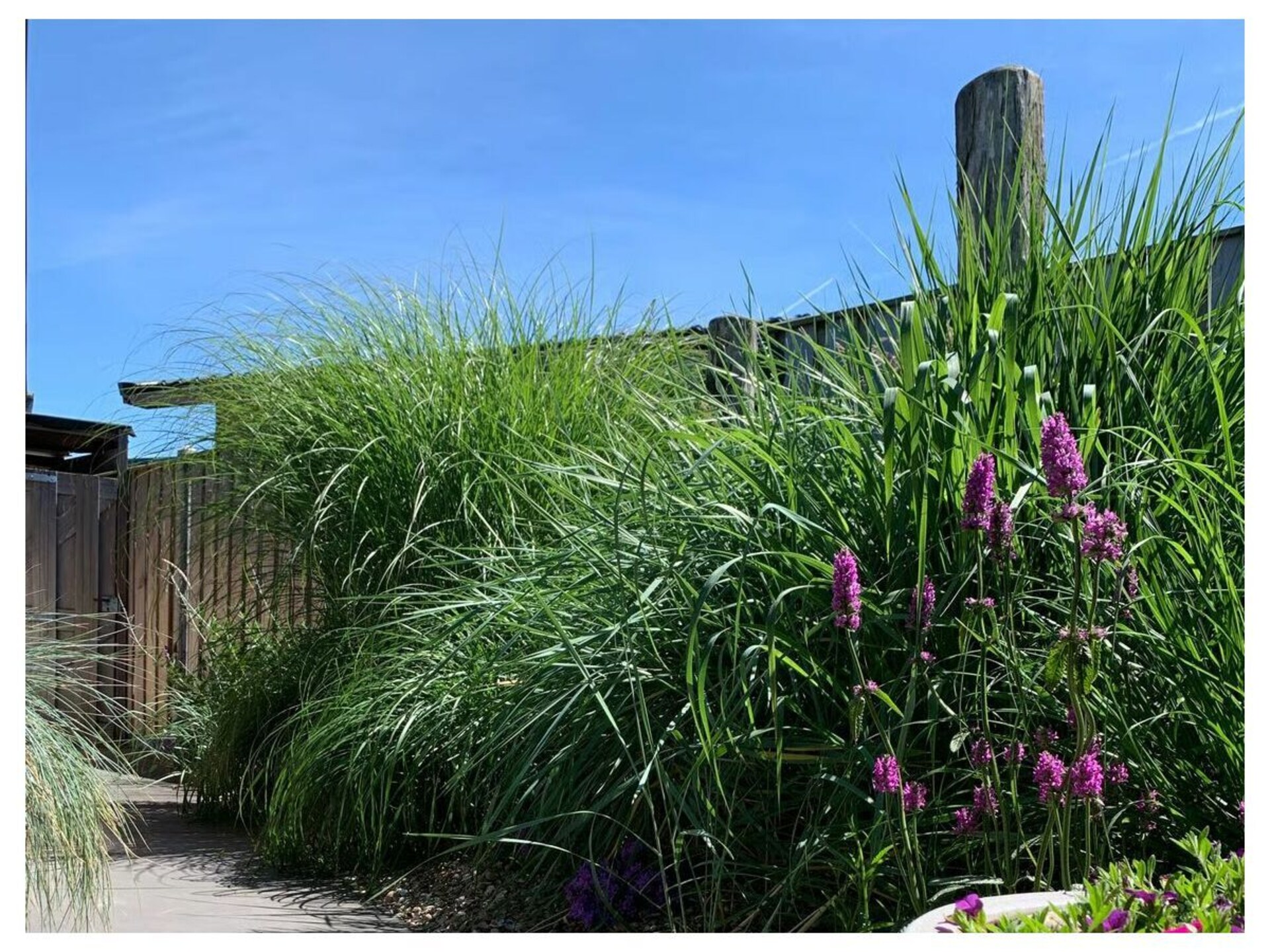 Luxe bungalow met zonnige tuin nabij strand Zoutelande, Zeeland - foto 23
