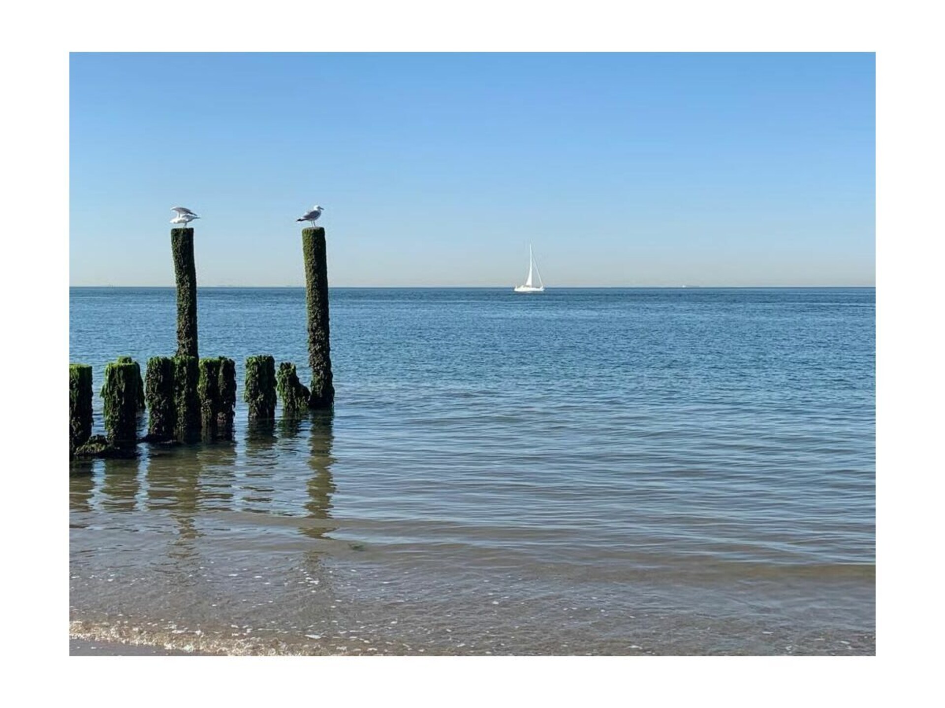 Luxe bungalow met zonnige tuin nabij strand Zoutelande, Zeeland - foto 65