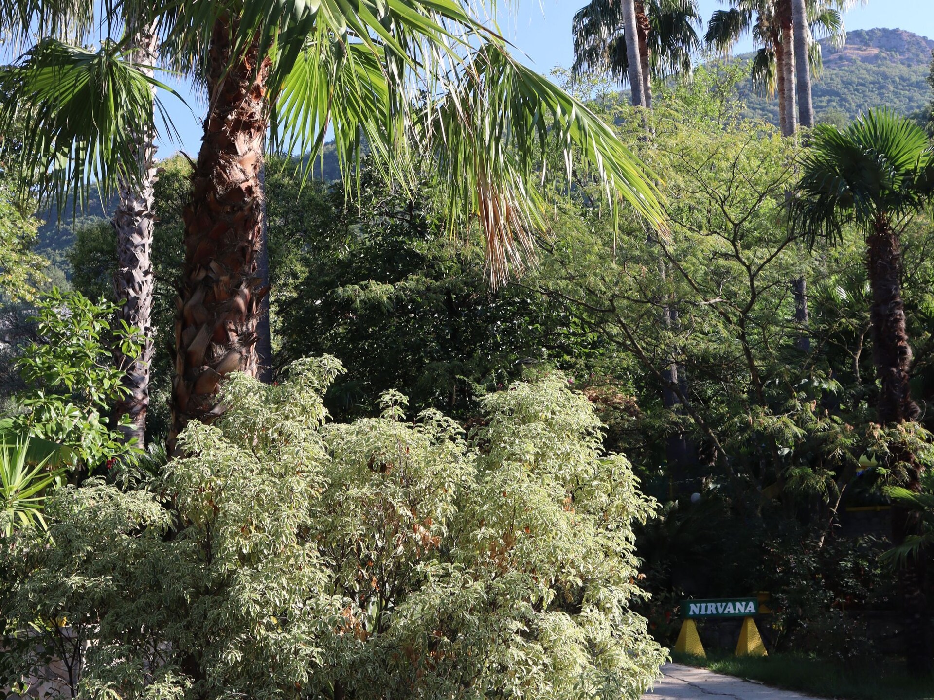 Luxe kamer in Diocletianus' Paleis, Split – ontbijt & wifi inbegrepen - foto 30