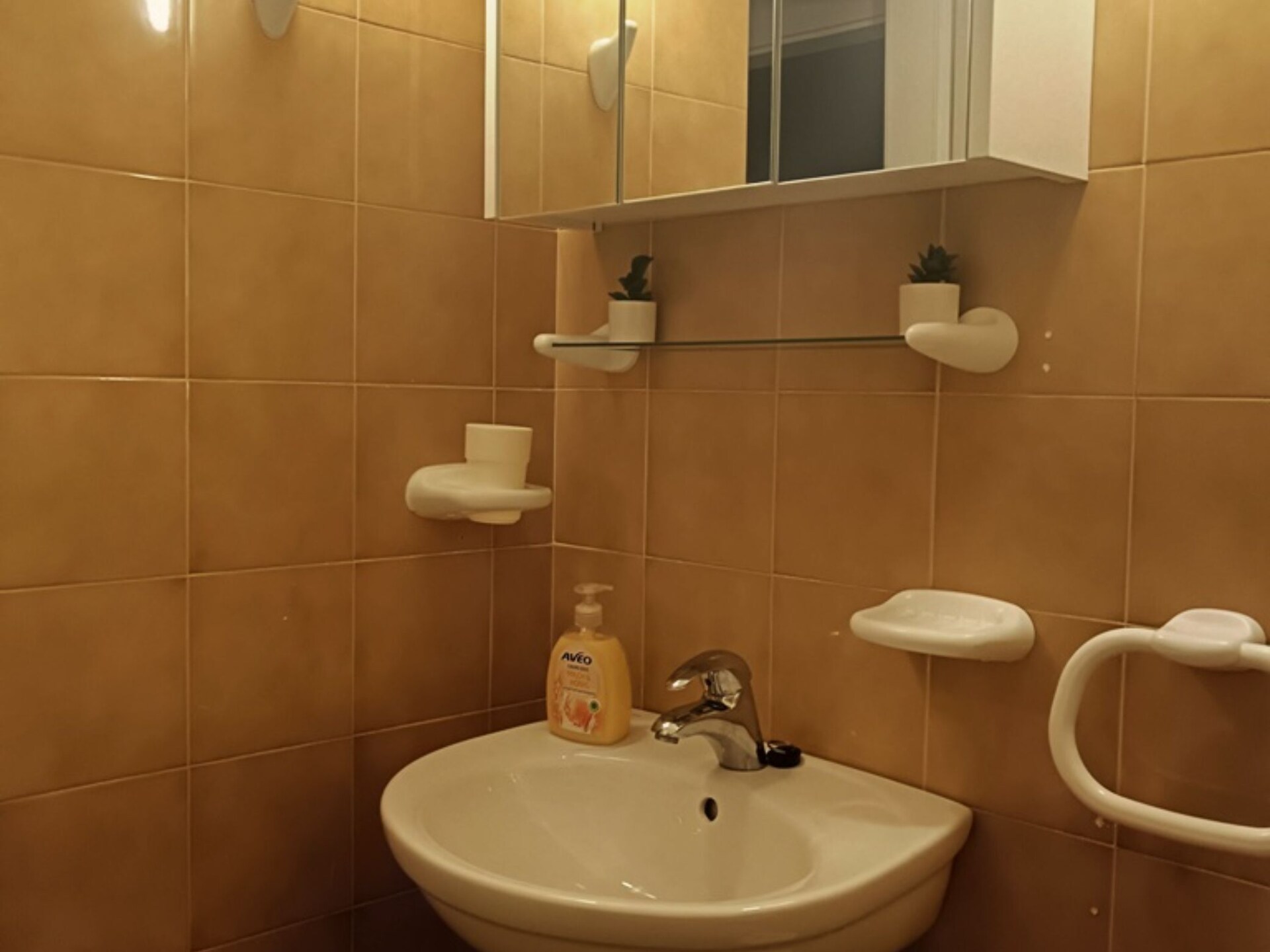4-persoons appartement aan het strand in Povlja · 4 pers. - foto 17