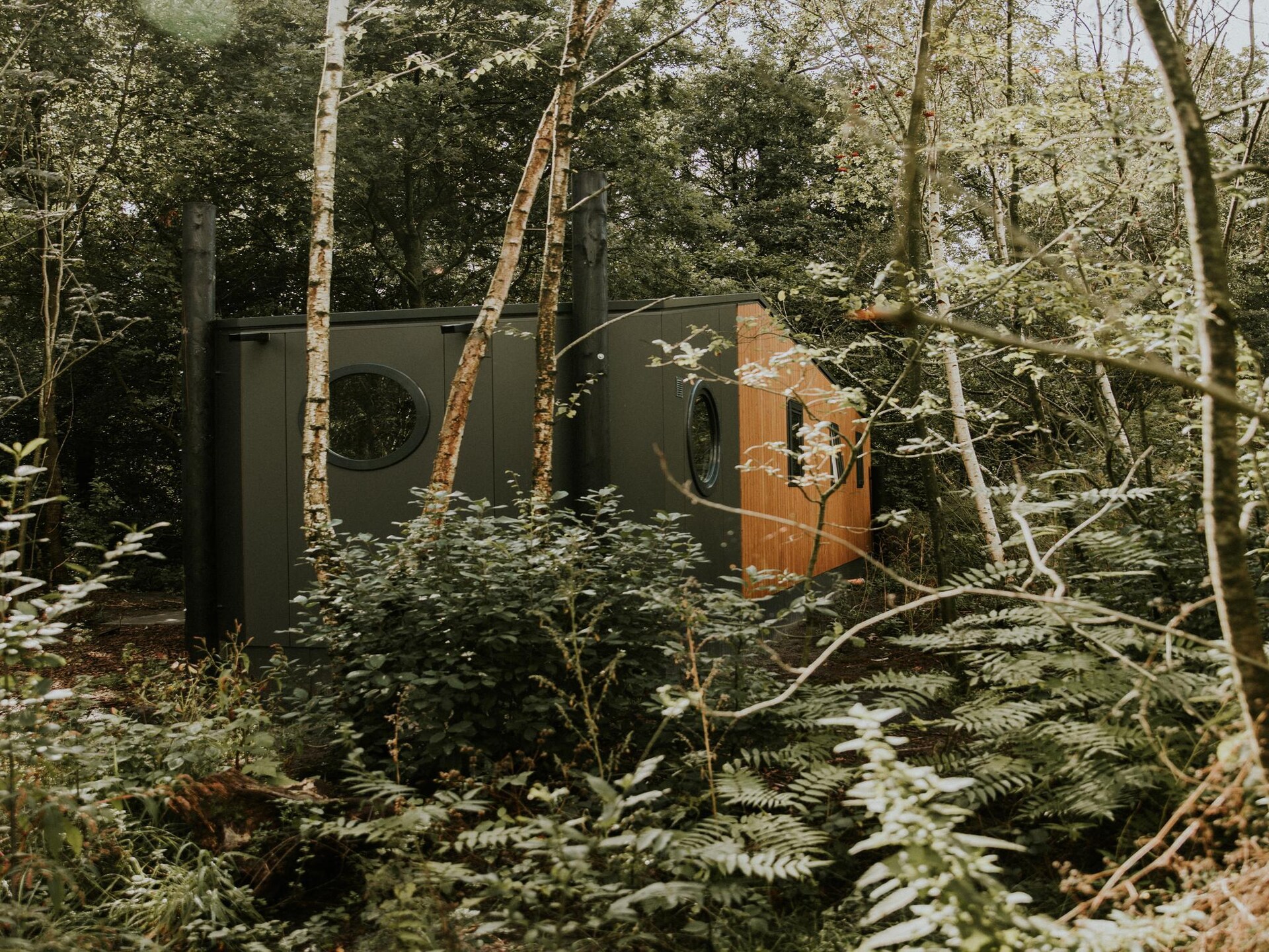 Happy Bee Lodge | Vrijstaand vakantiehuis met hottub in het Reestdal - foto 7