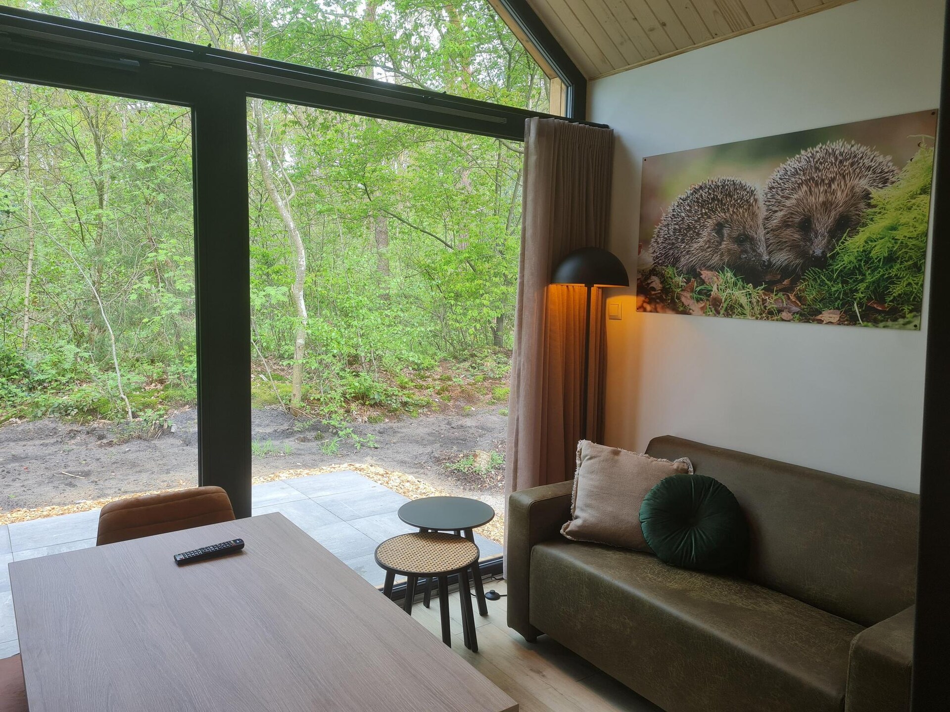 Tiny house op Camping Si-Es-An: natuurlijk genieten in Balkbrug - foto 2