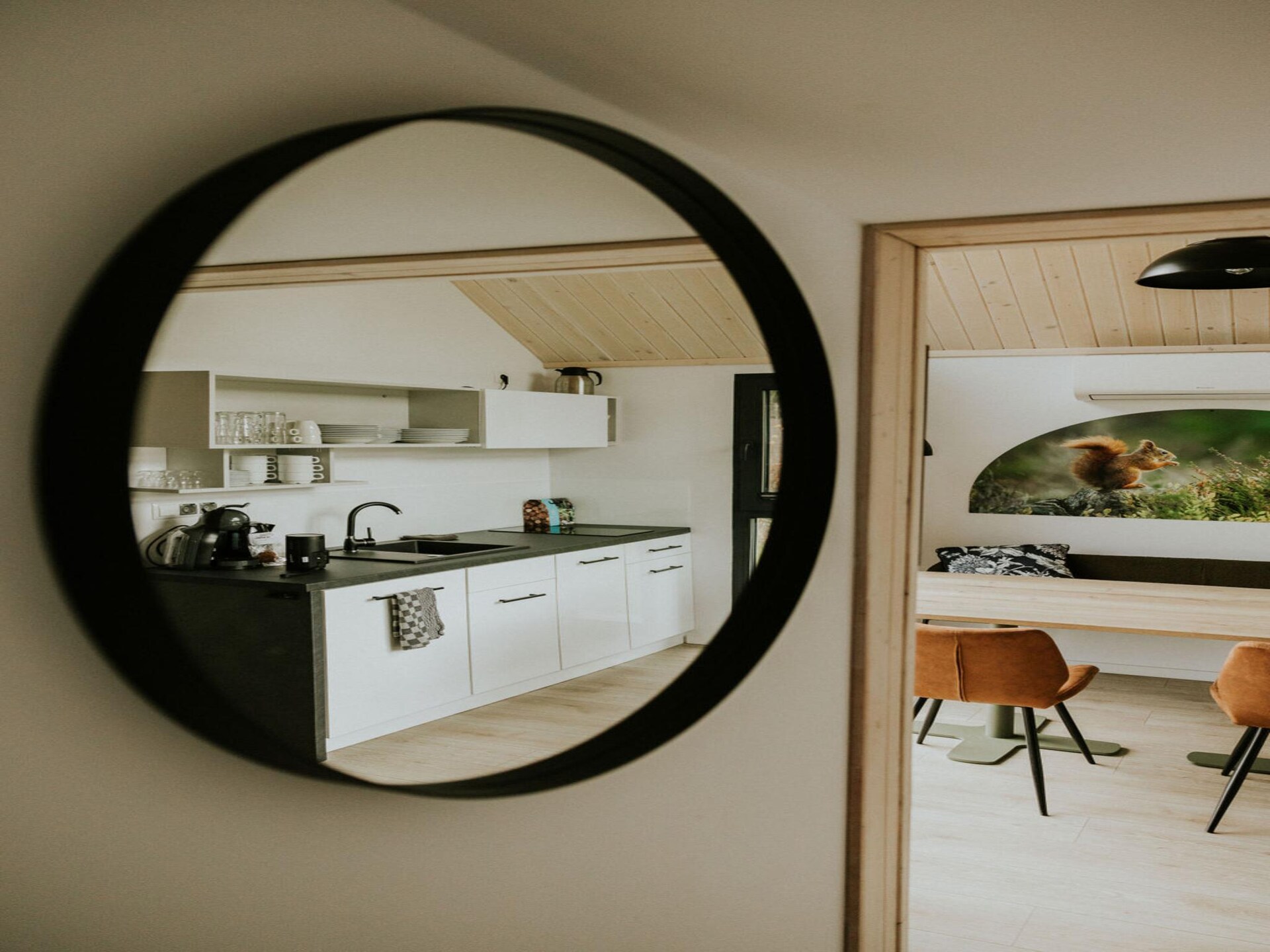 Cosy house: knusse blokhut aan de visvijver in Balkbrug - foto 22