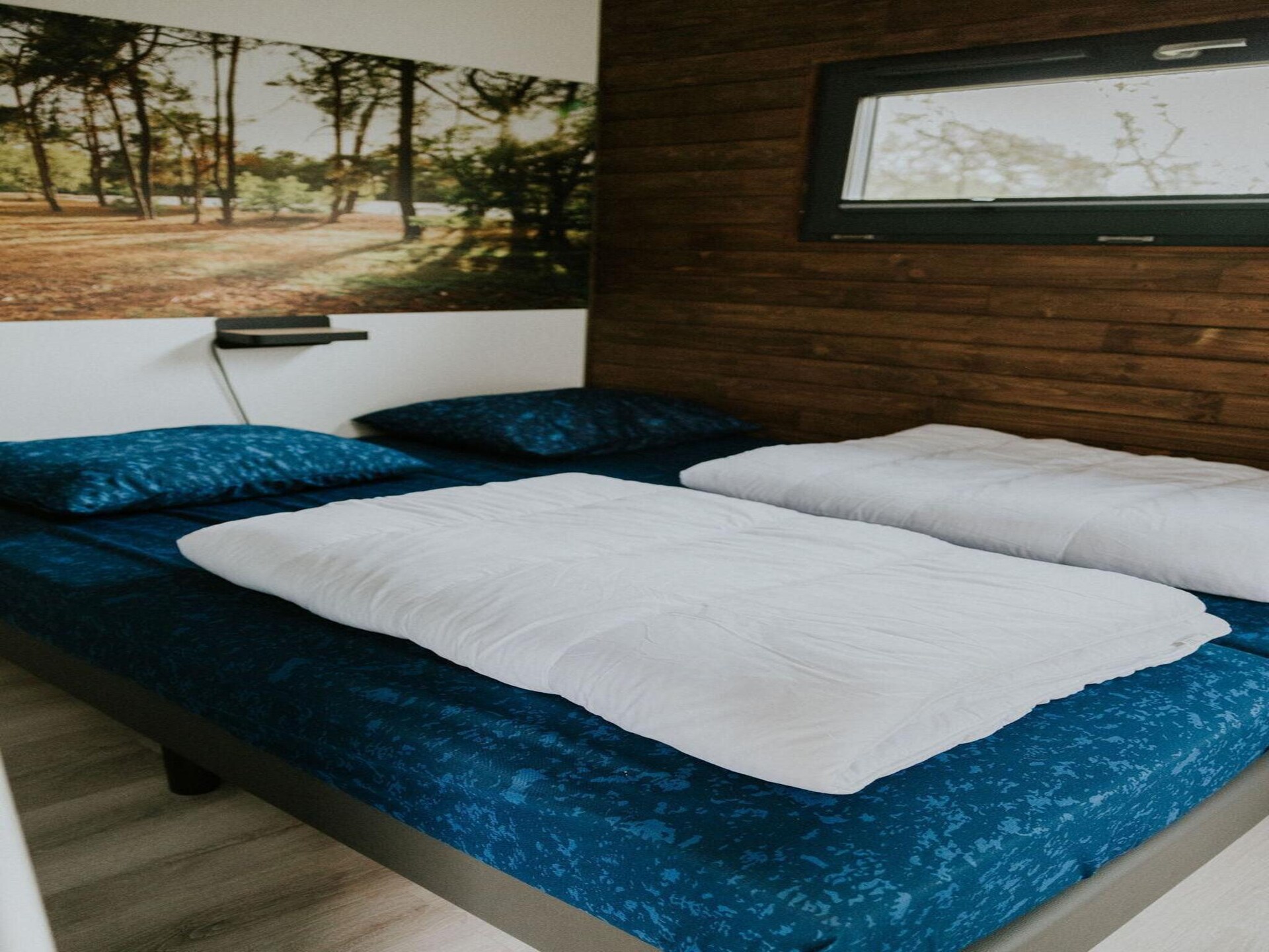 Tiny house XL in Balkbrug: luxe natuurverblijf voor 2-4 personen - foto 4