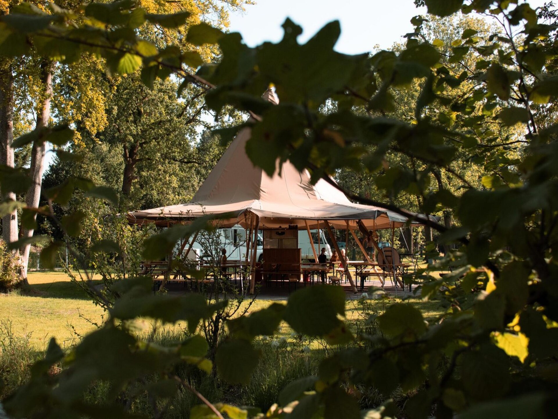 Tiny house XL in Balkbrug: luxe natuurverblijf voor 2-4 personen - foto 27