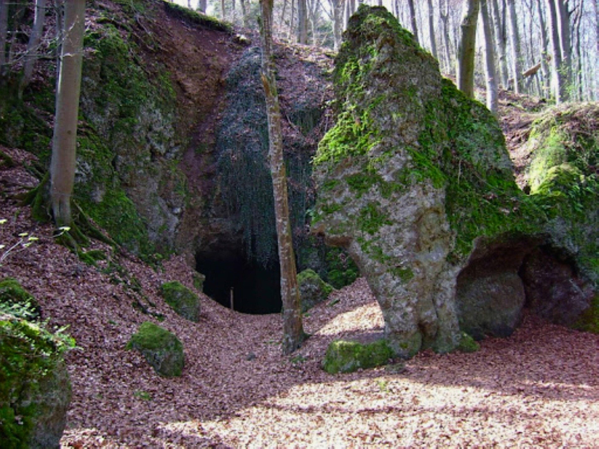 Ferienhaus Birresborn Rausch: rustig vakantiehuis in de Vulkaaneifel - foto 26