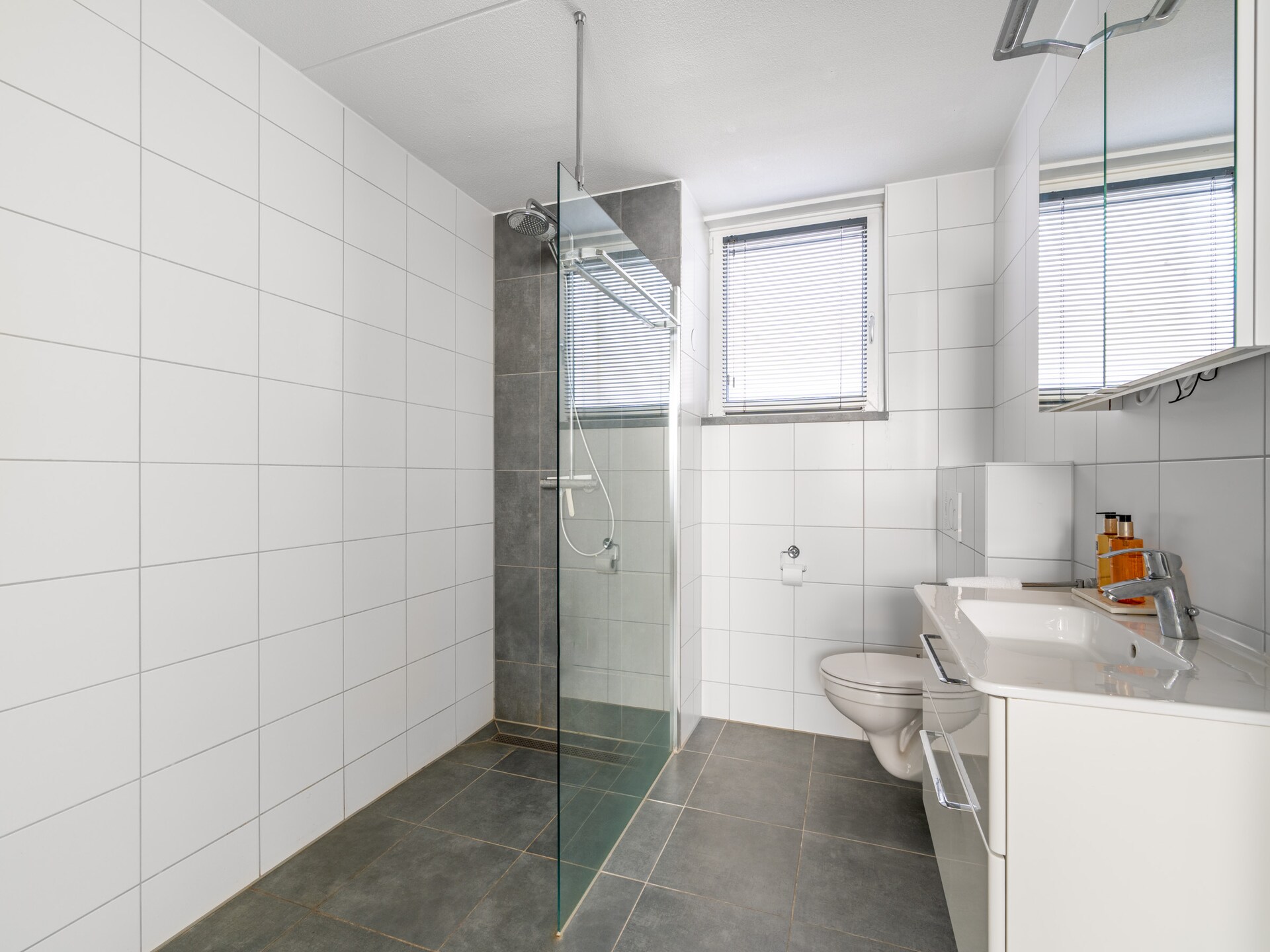 Luxe 10-persoons villa met sauna in bosrijke omgeving van De Koog - foto 20