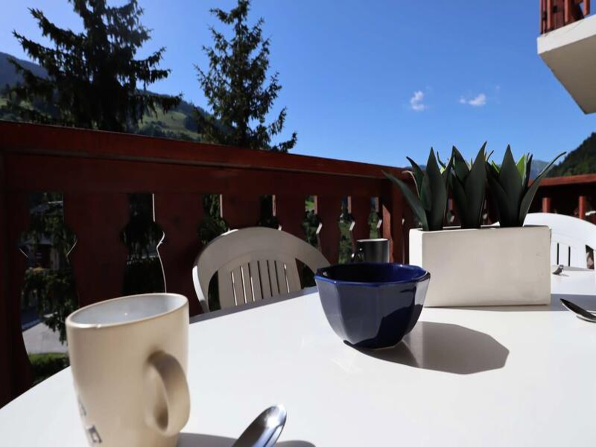 Knus gerenoveerd appartement met balkon en zwembad in Arêches-Beaufort - foto 12