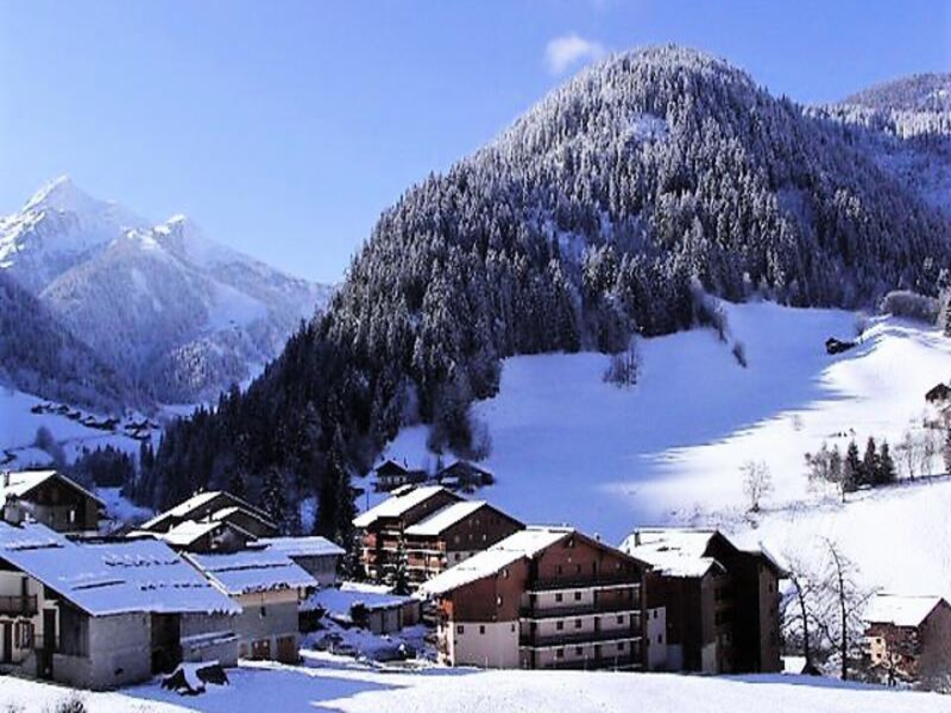 Knus appartement op 50m van de piste in Arêches-Beaufort - foto 11