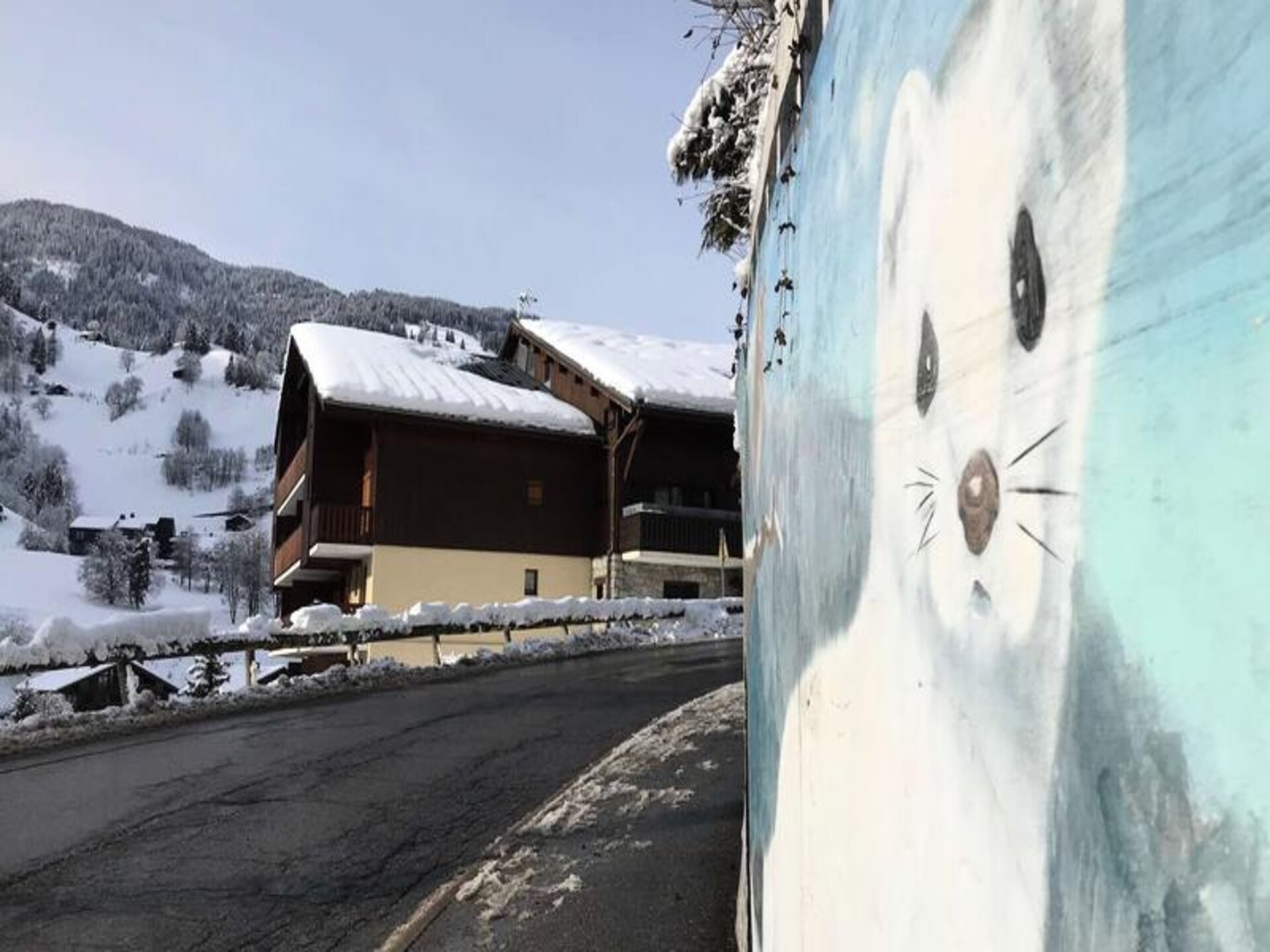 Knus appartement voor 4 personen met uitzicht op de Alpen in Beaufort - foto 11