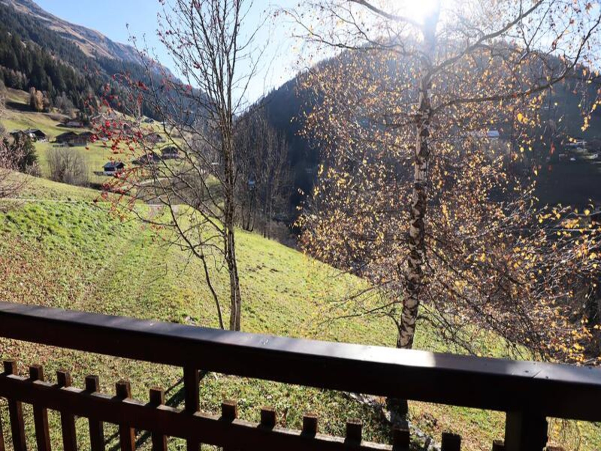 Chalet Le Foehn: ruim alpenappartement met panoramisch uitzicht in Beaufort - foto 15