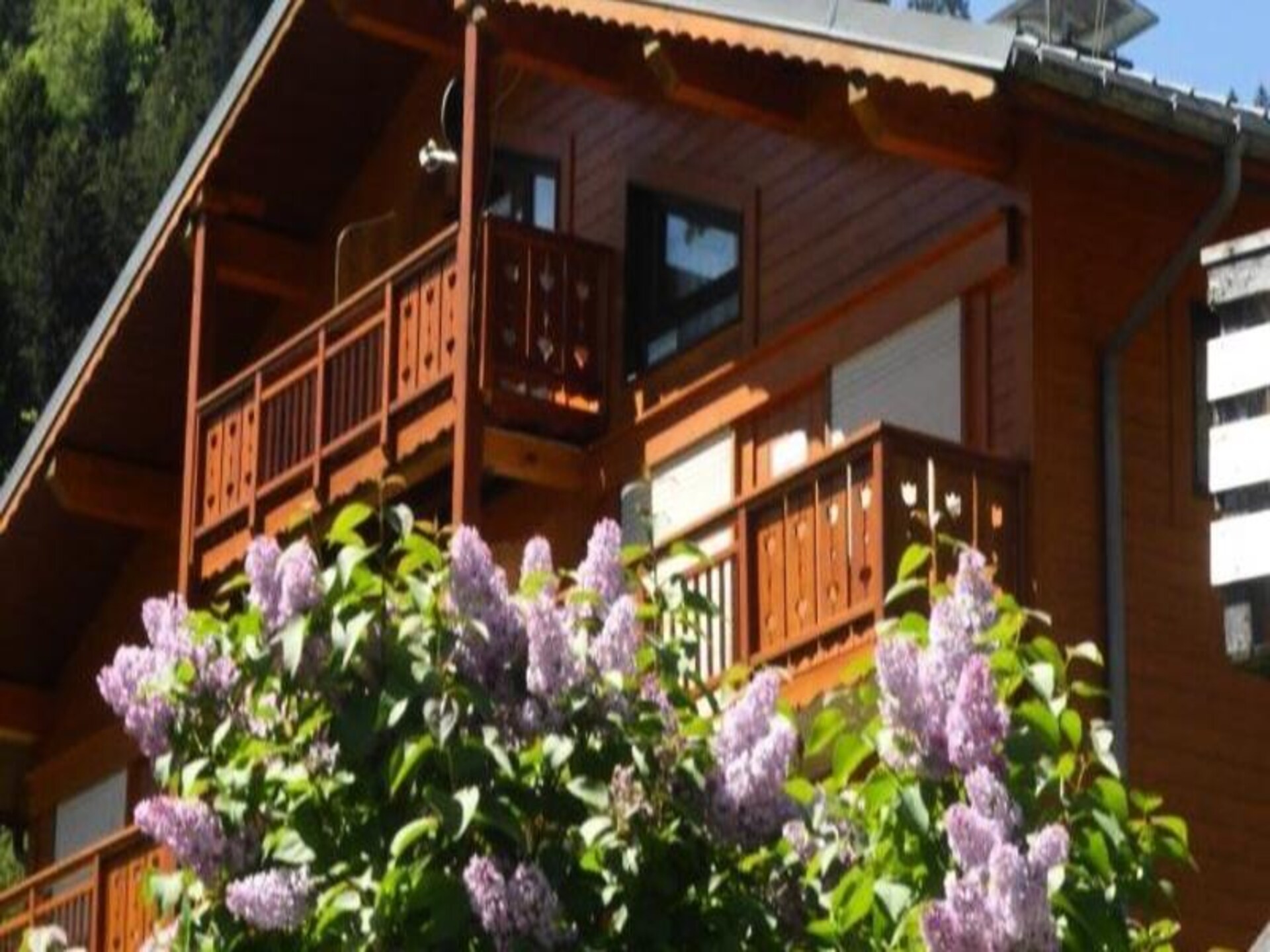 Duplexappartement aan de piste in Arêches-Beaufort voor 6 personen - foto 11