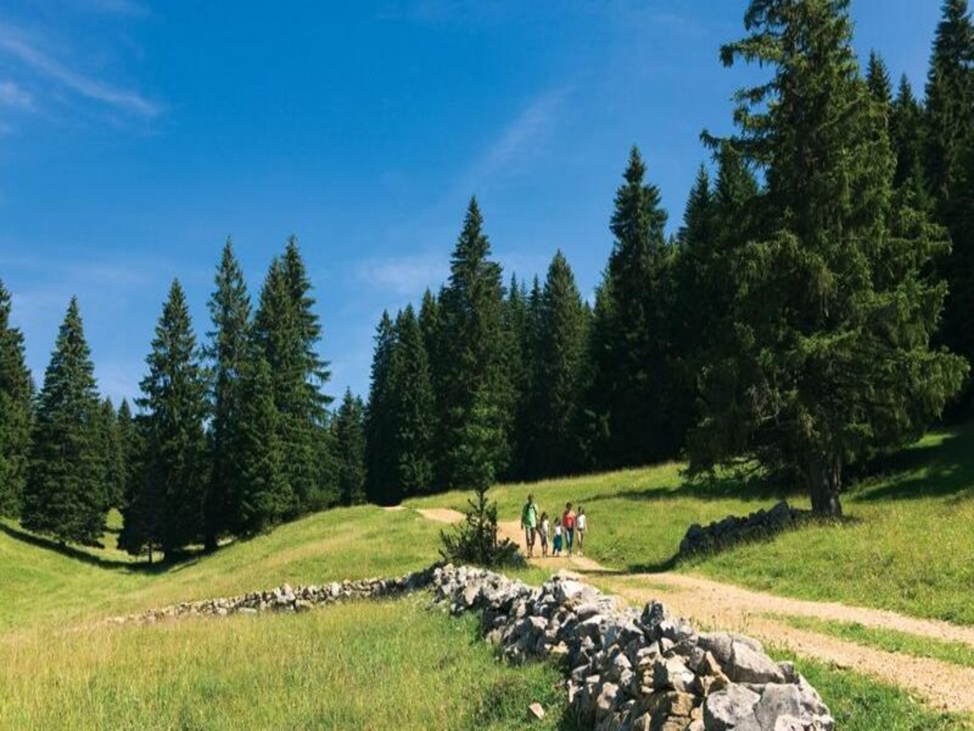 Knus appartement voor 3 in het hart van de Jura, Bois d'Amont - foto 3