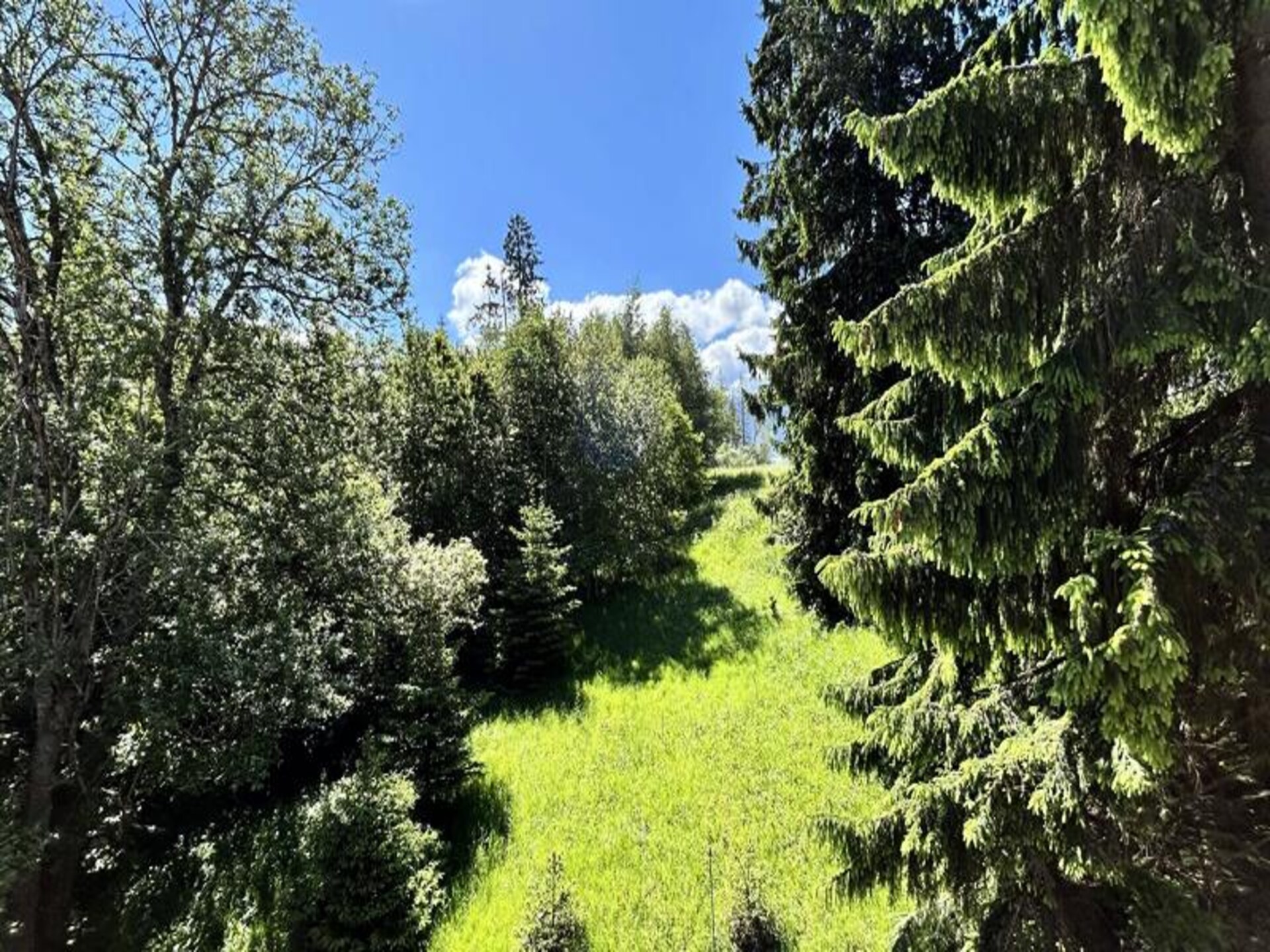 Panoramisch appartement op de bovenste verdieping nabij de pistes in Combloux - foto 15