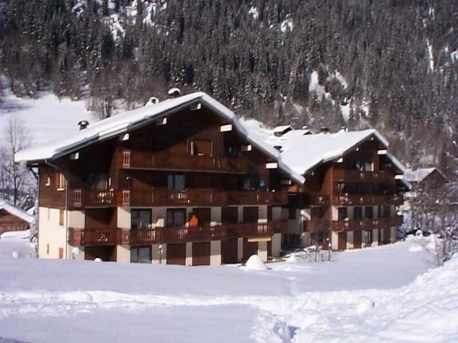 Sfeervol appartement op 200m van skilift Linga in Châtel, 8 pers. - foto 4