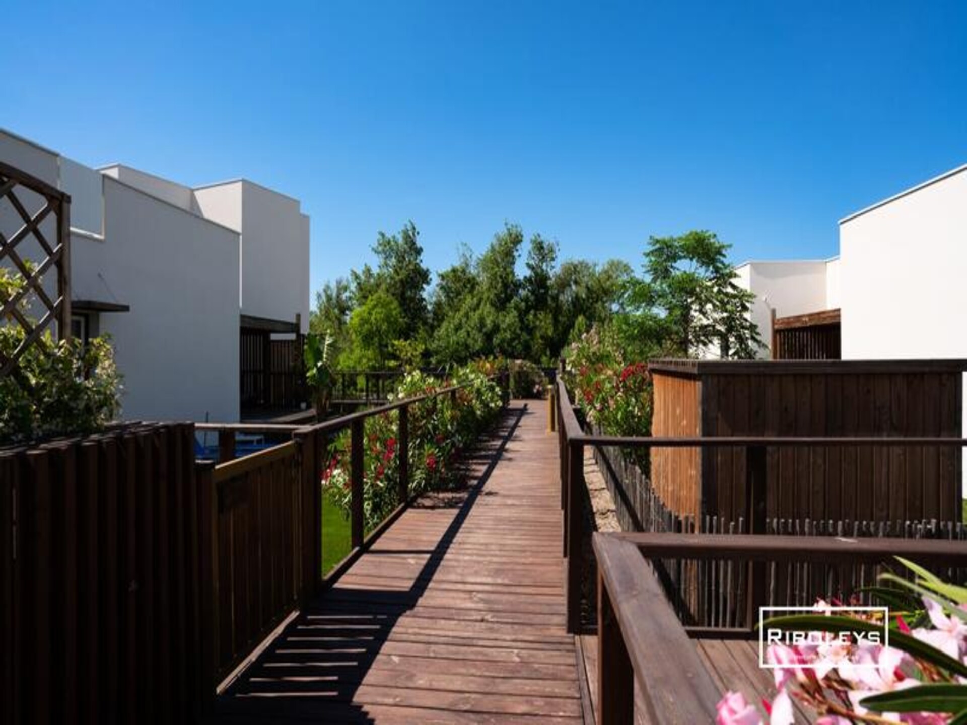 Licht appartement op 400m van strand met zwembad in Vias - foto 38