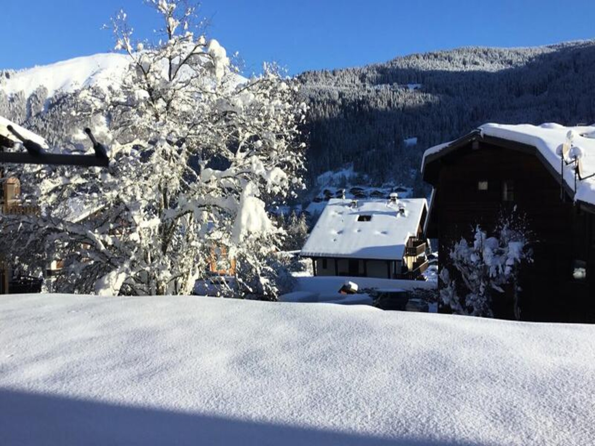 Knus appartement met tuin in Morzine, op loopafstand van de piste - foto 18