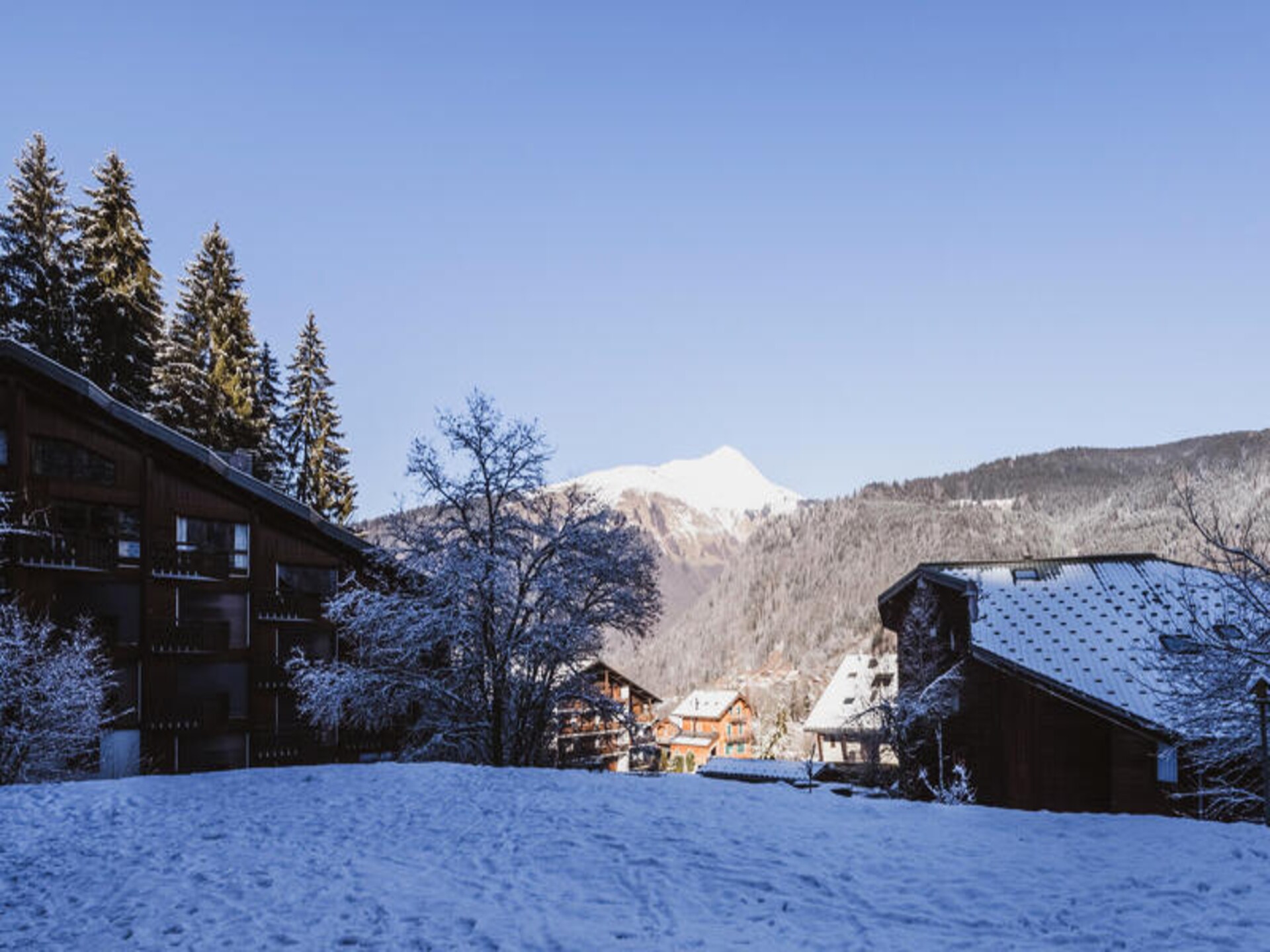 Knus appartement met tuin in Morzine, op loopafstand van de piste - foto 19